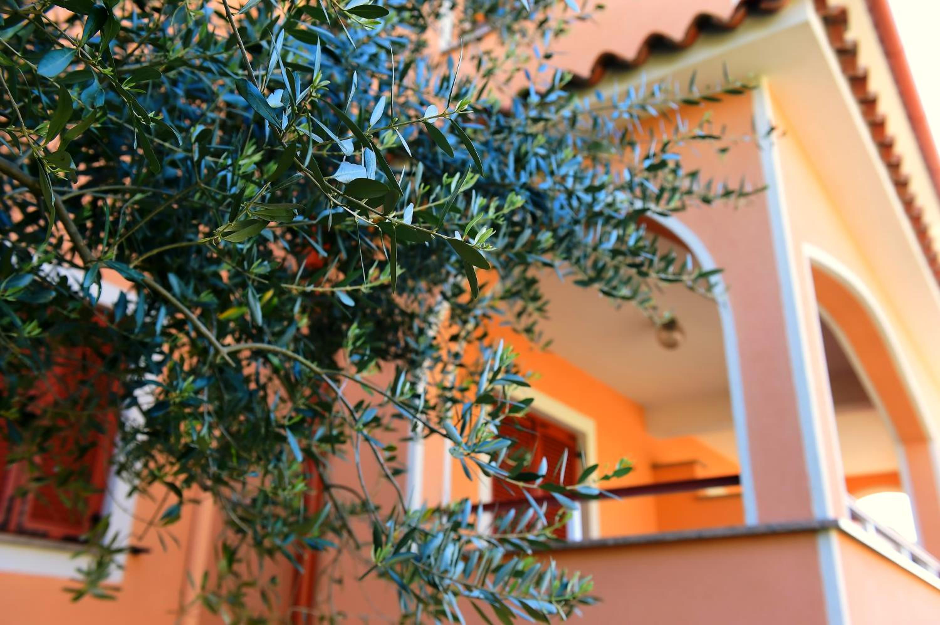 Apartments Zdjelar