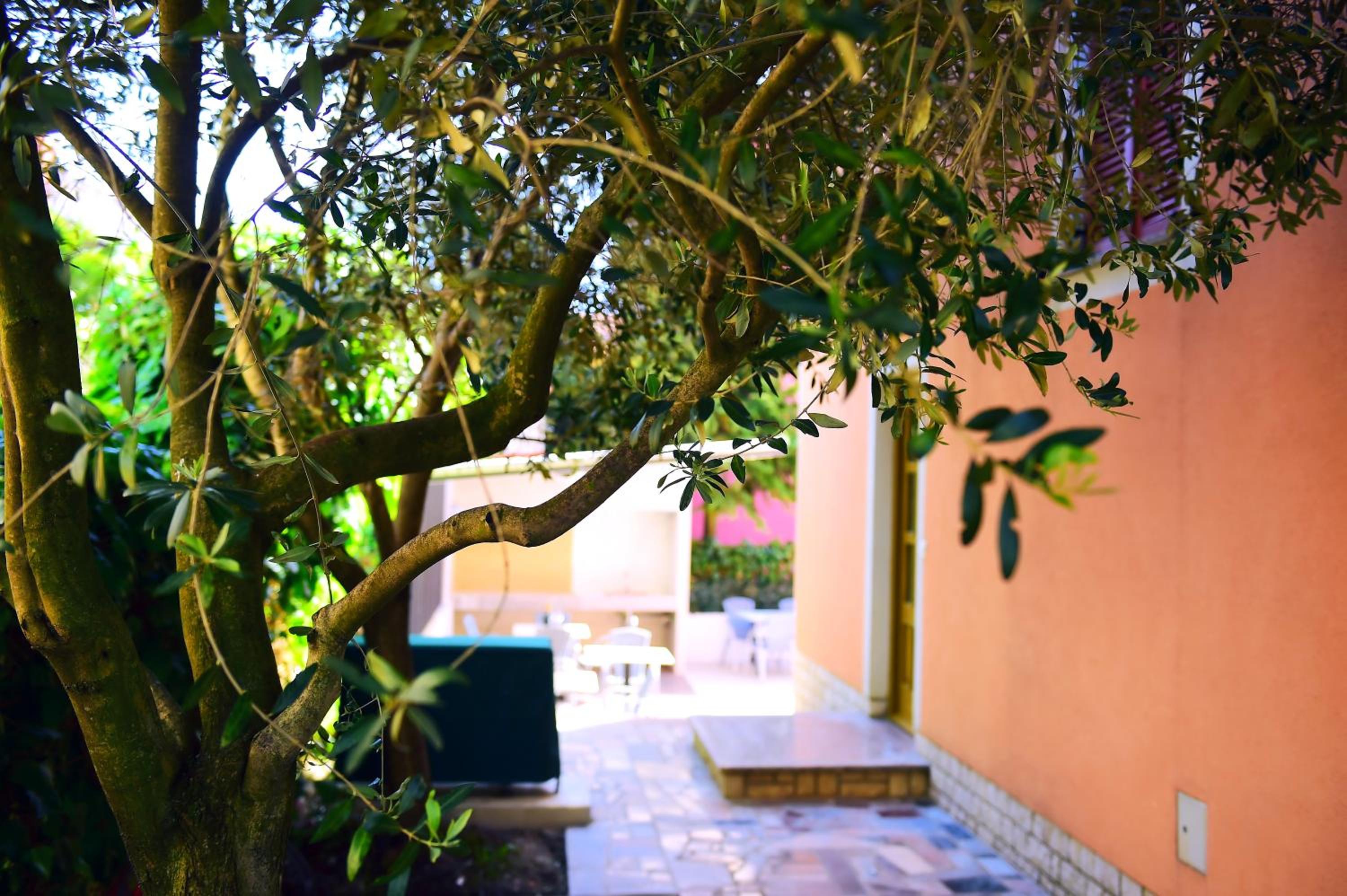 Apartments Zdjelar