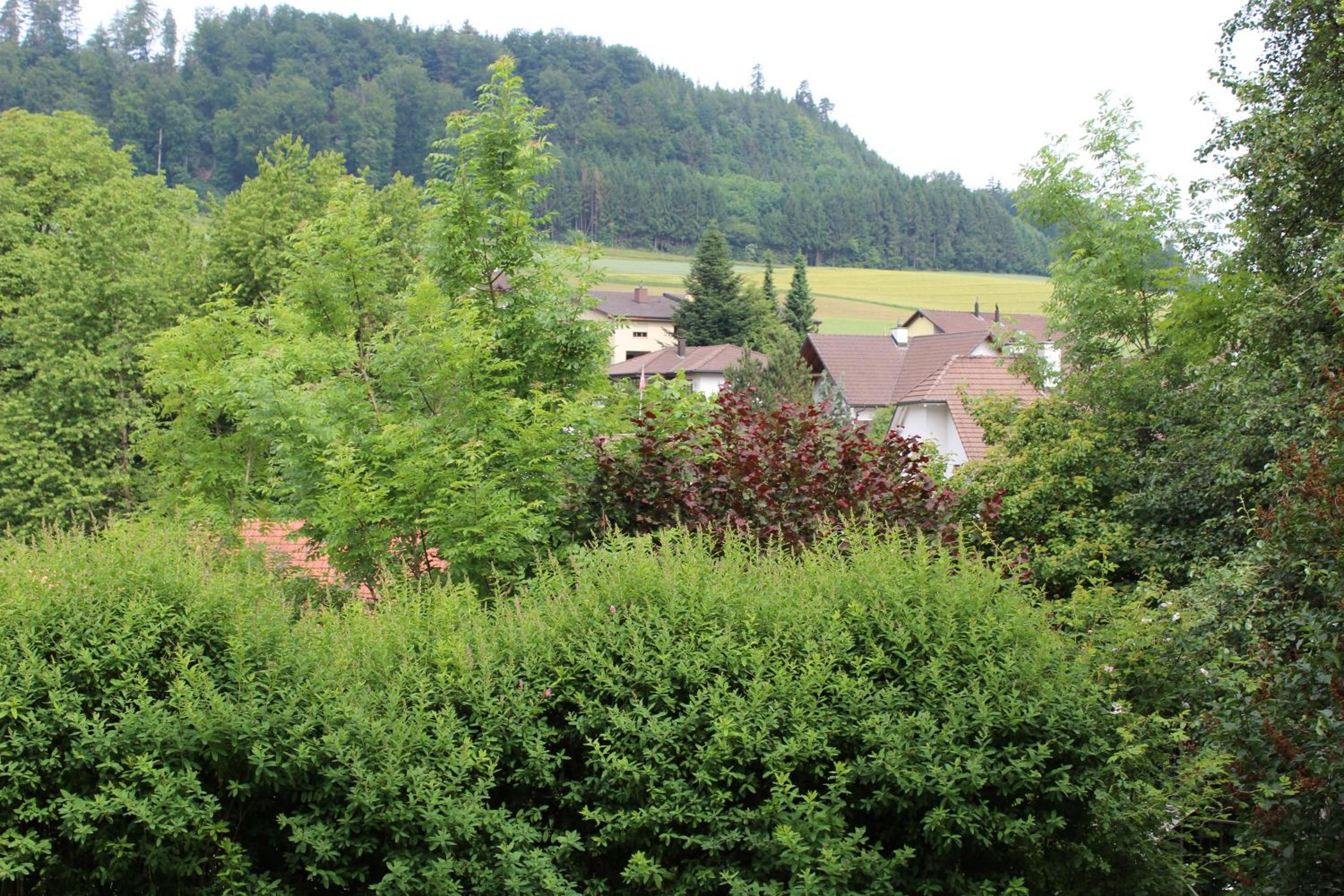 Ferienhüsli