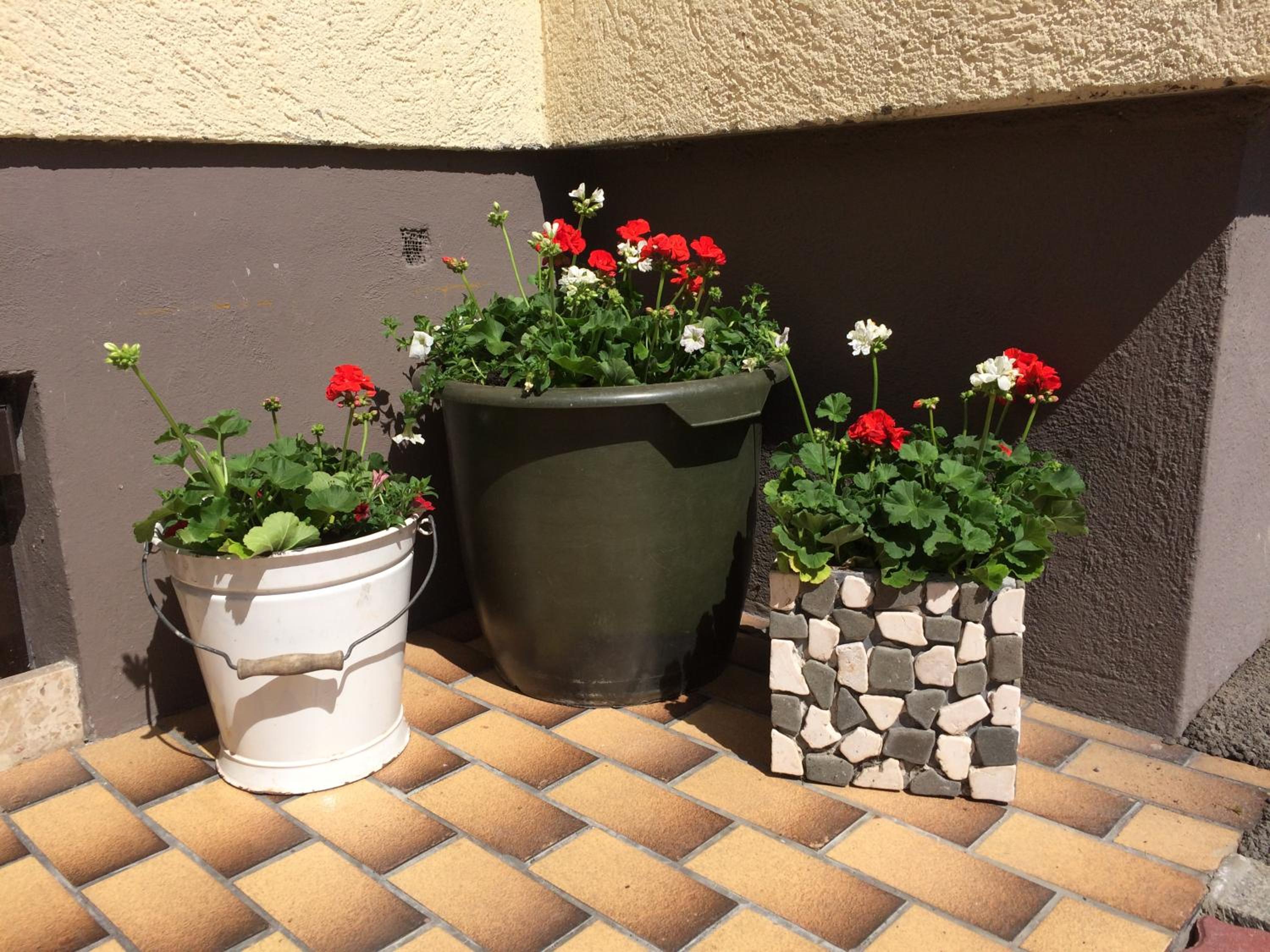 Pension zu Hause
