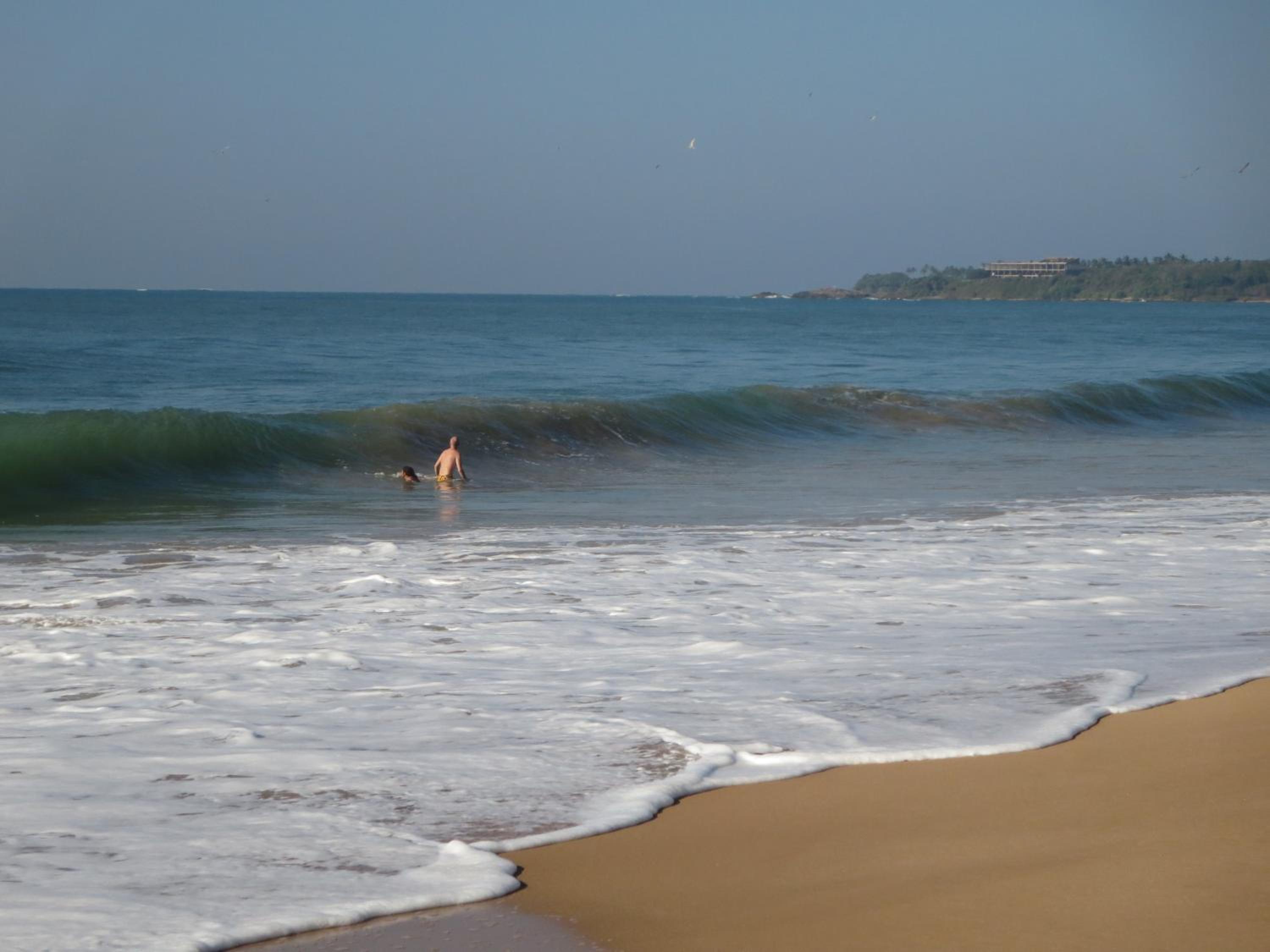 Photo 45