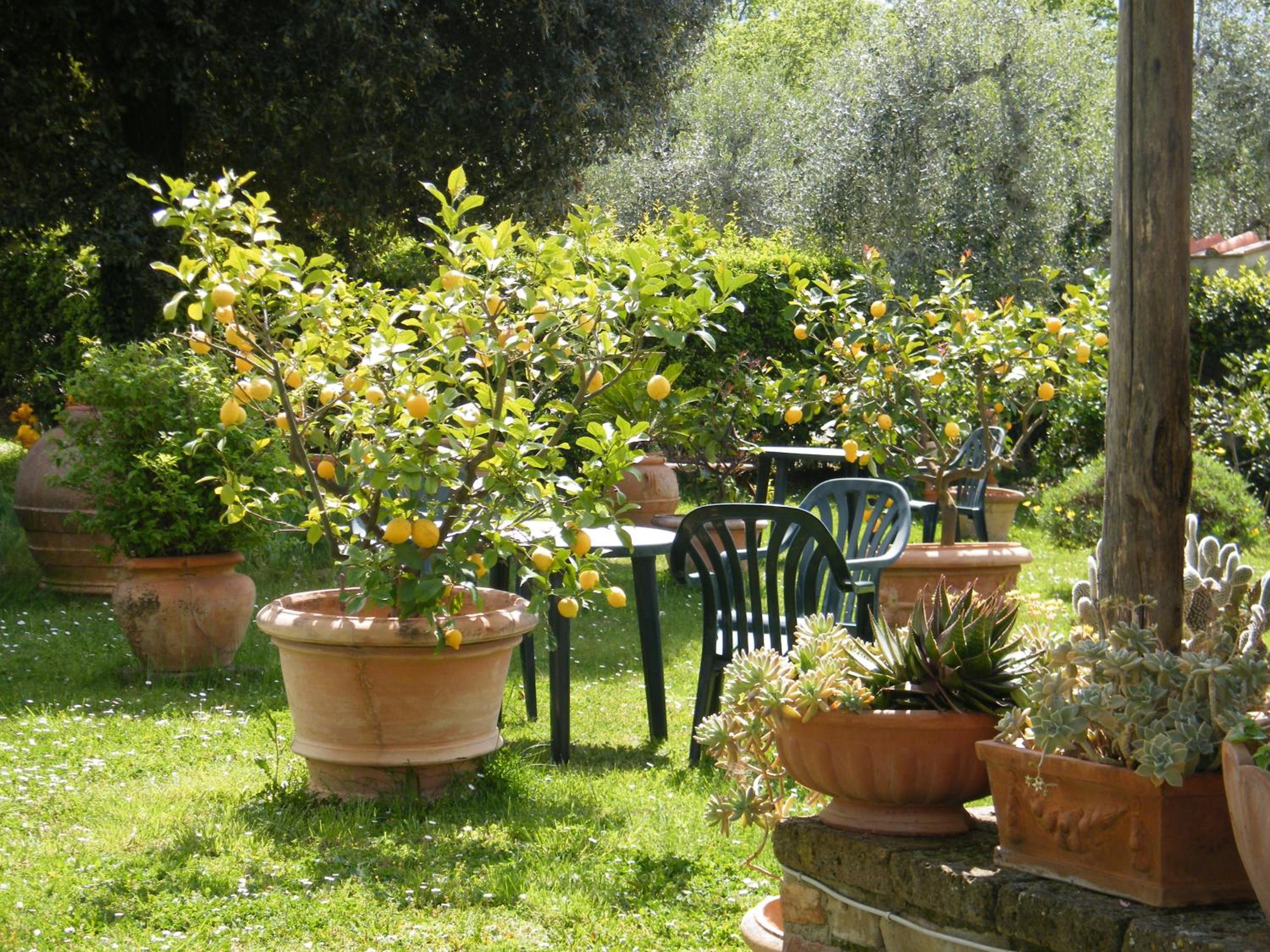Poggio Alle Lame