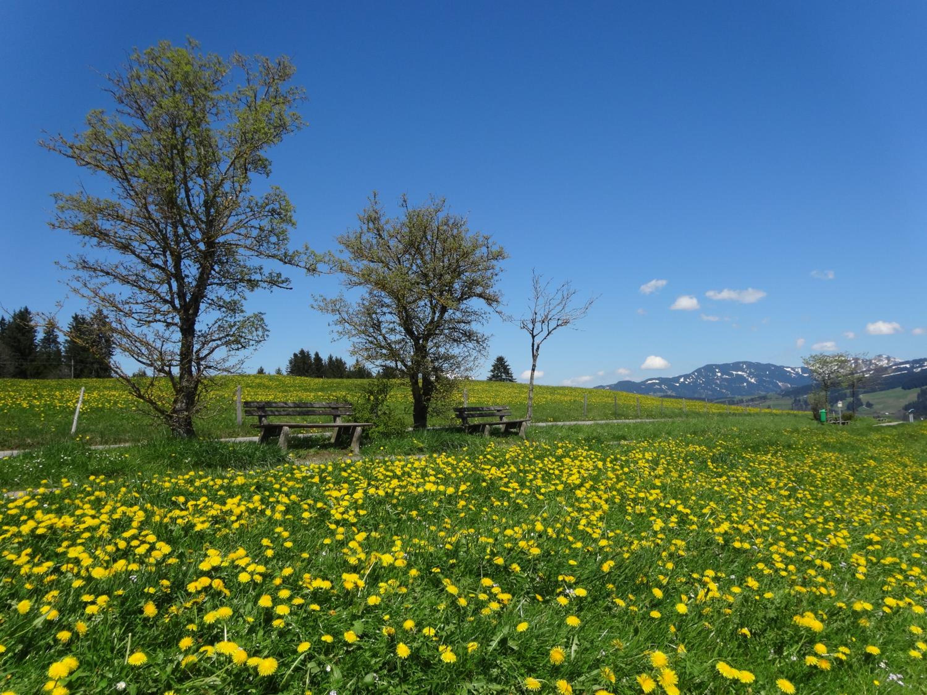 Ferienwohnungen im Färberhaus view 5