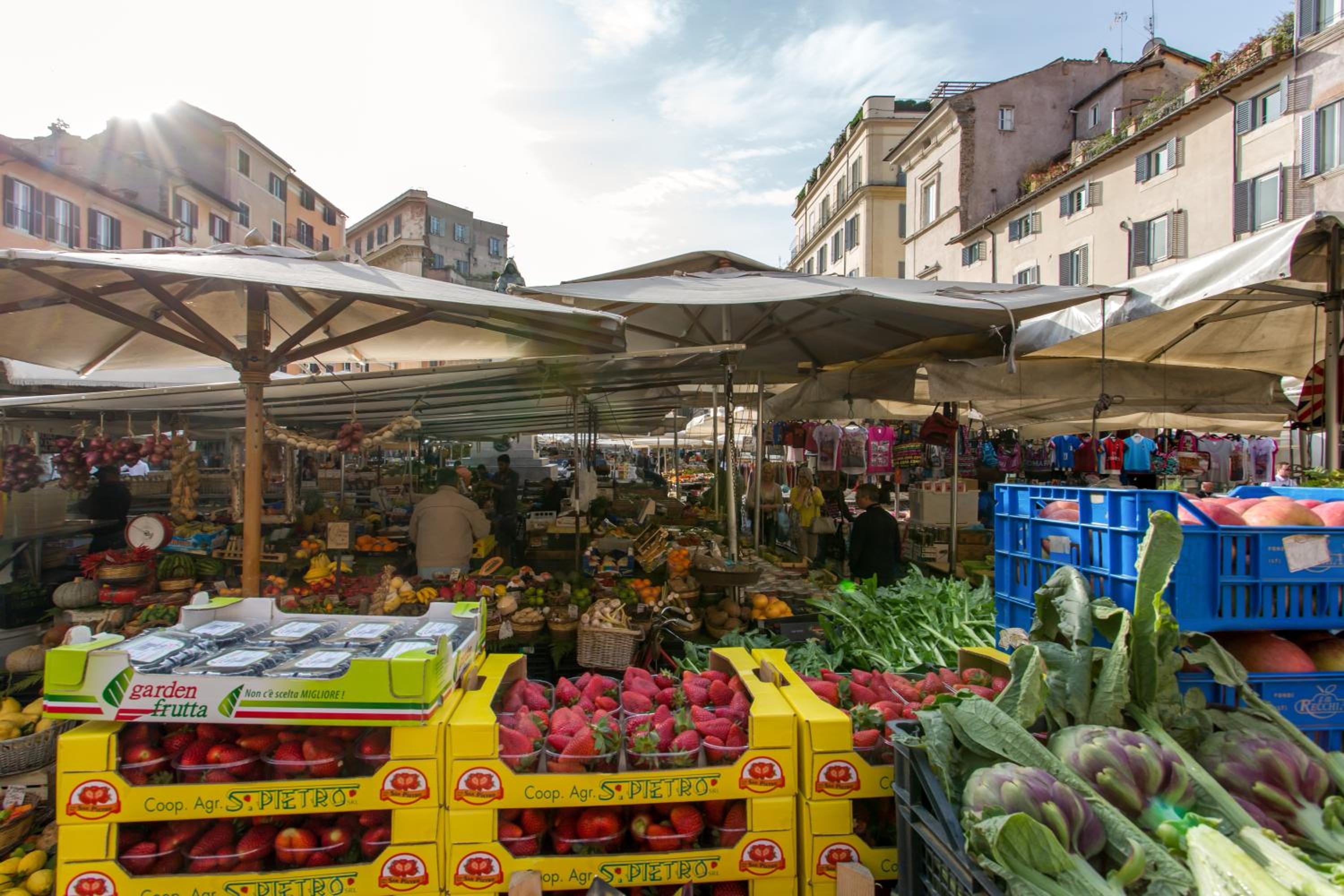 Rome as you feel - Grotta Pinta apartments