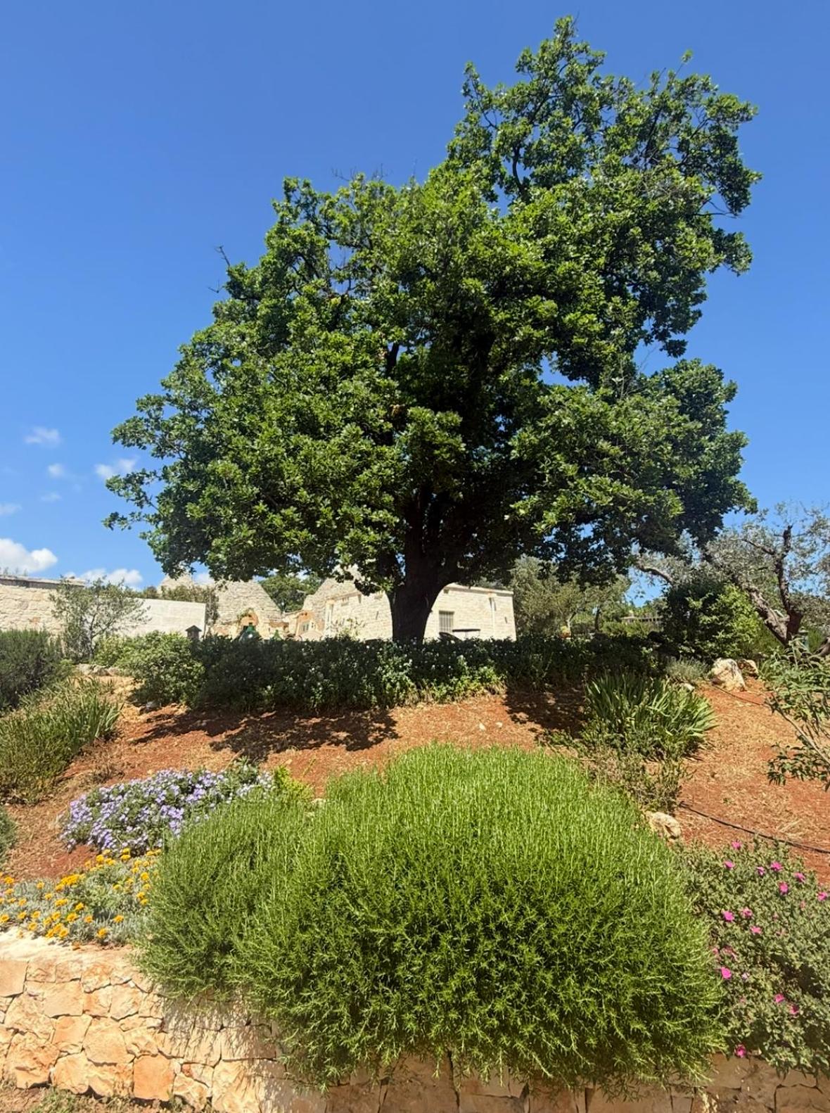 Exclusive Trullo with pool