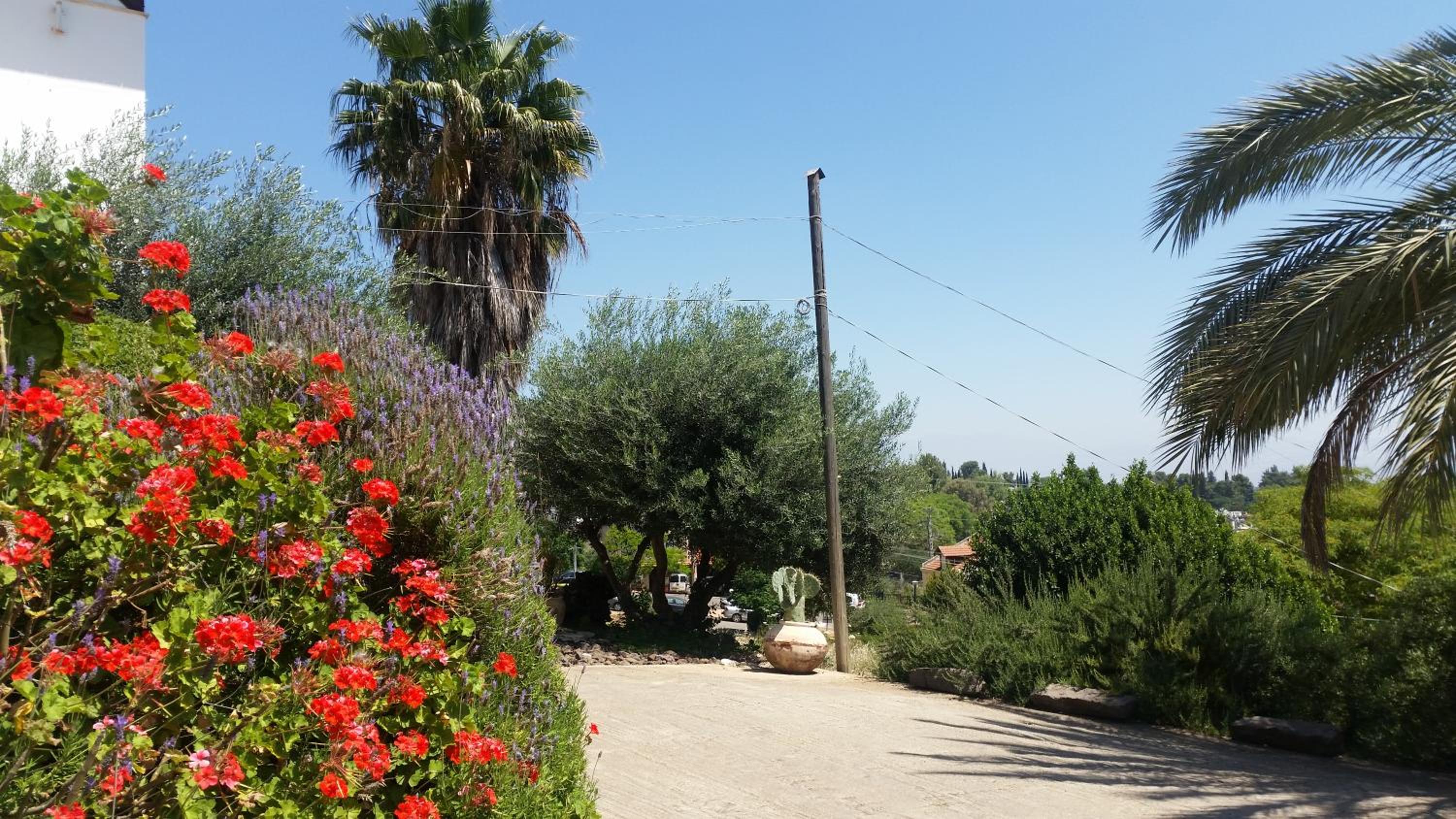 Photo 13