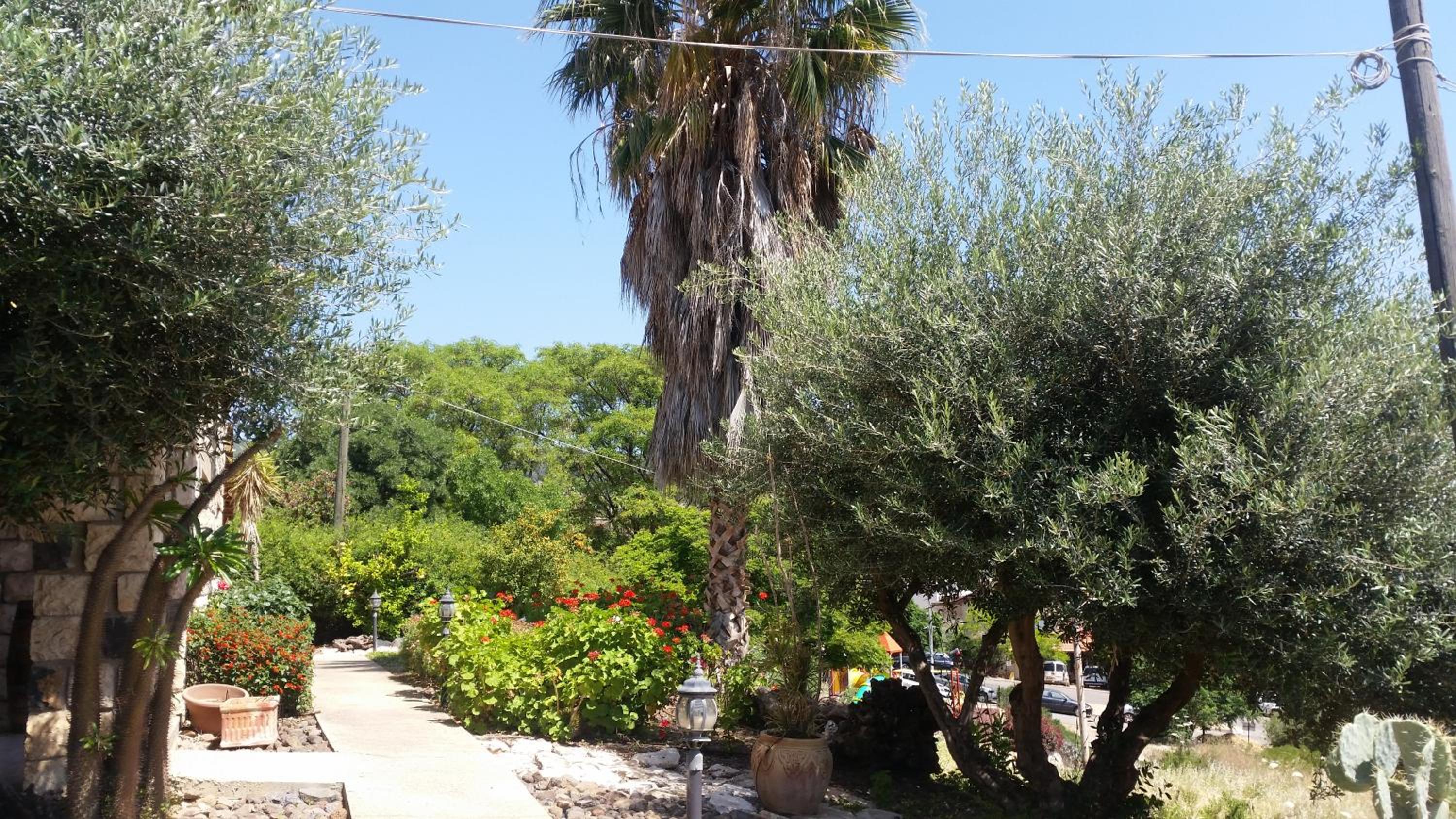 Photo 15