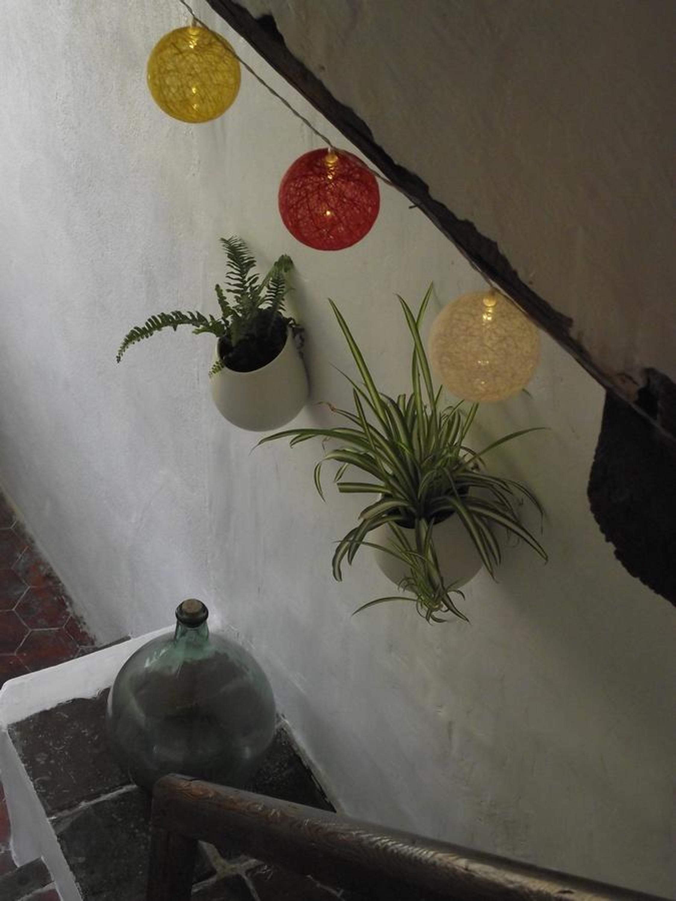 Longo Mai, photo 8