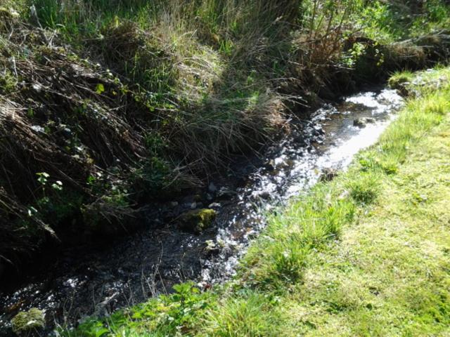 Photo 49