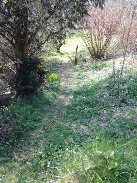 Photo 36
