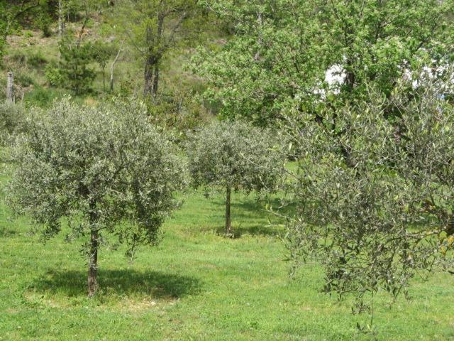 Domaine De JI