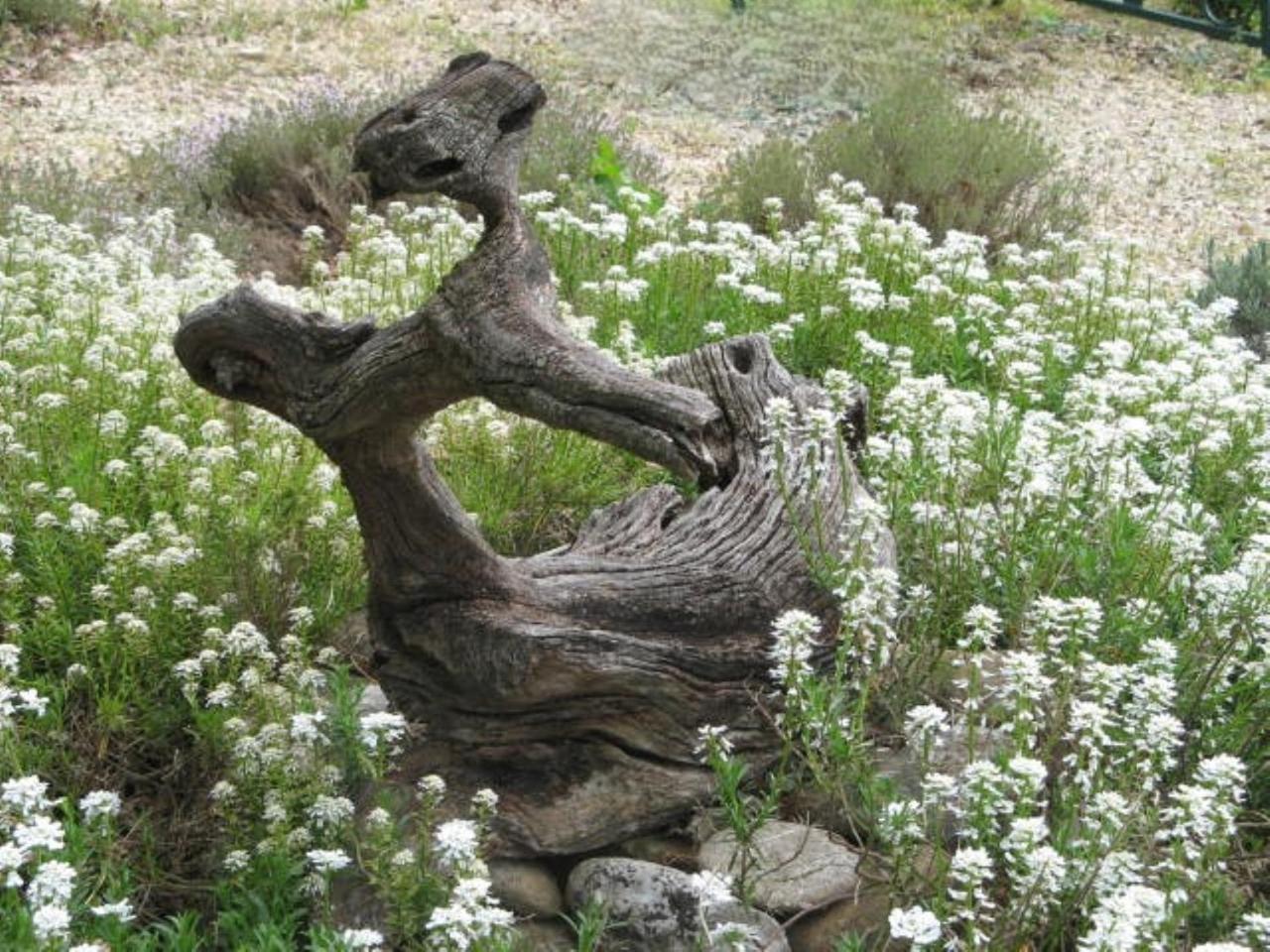 Domaine De JI