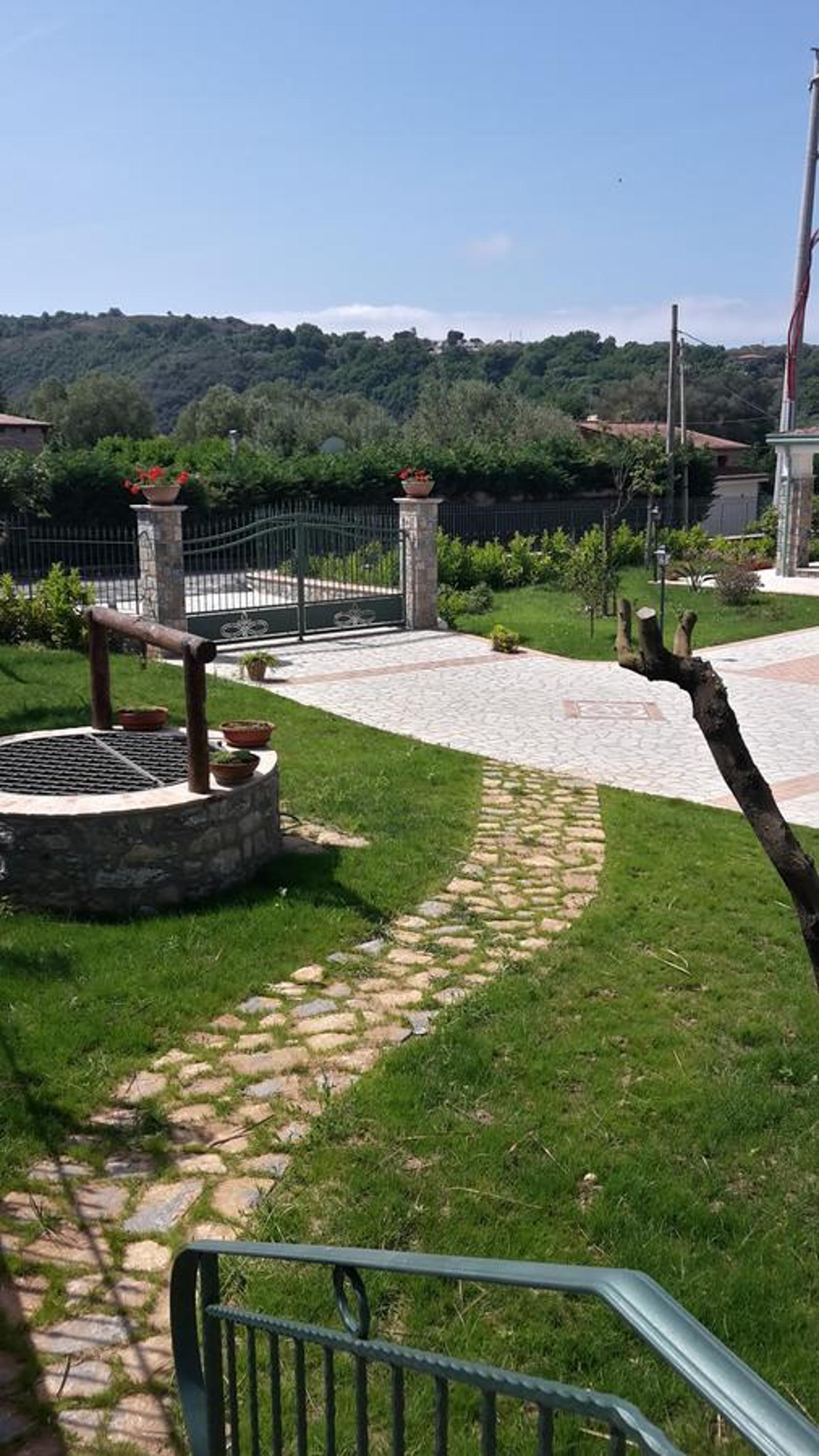 Photo 12