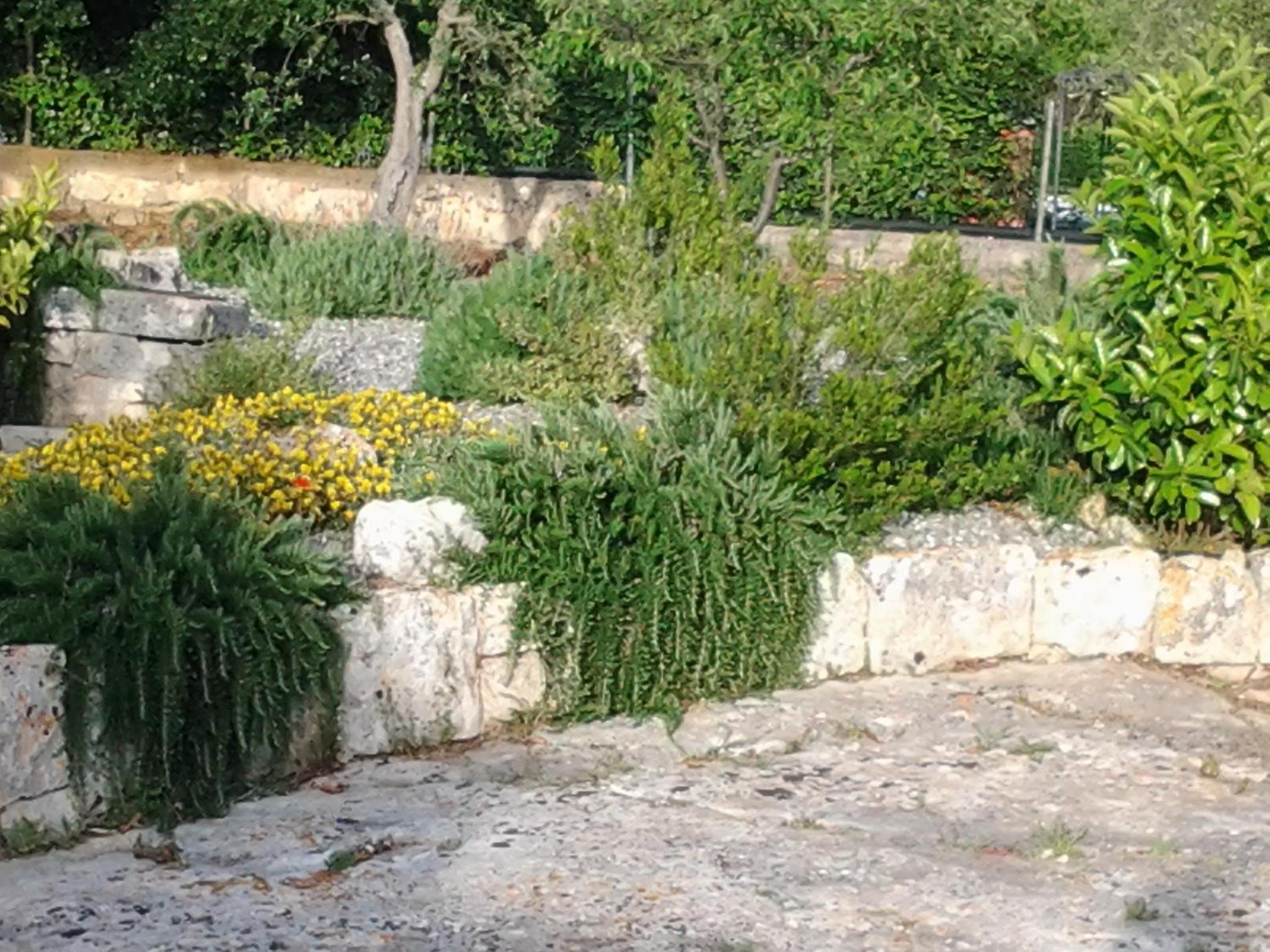 B&B Tenuta Ranieri