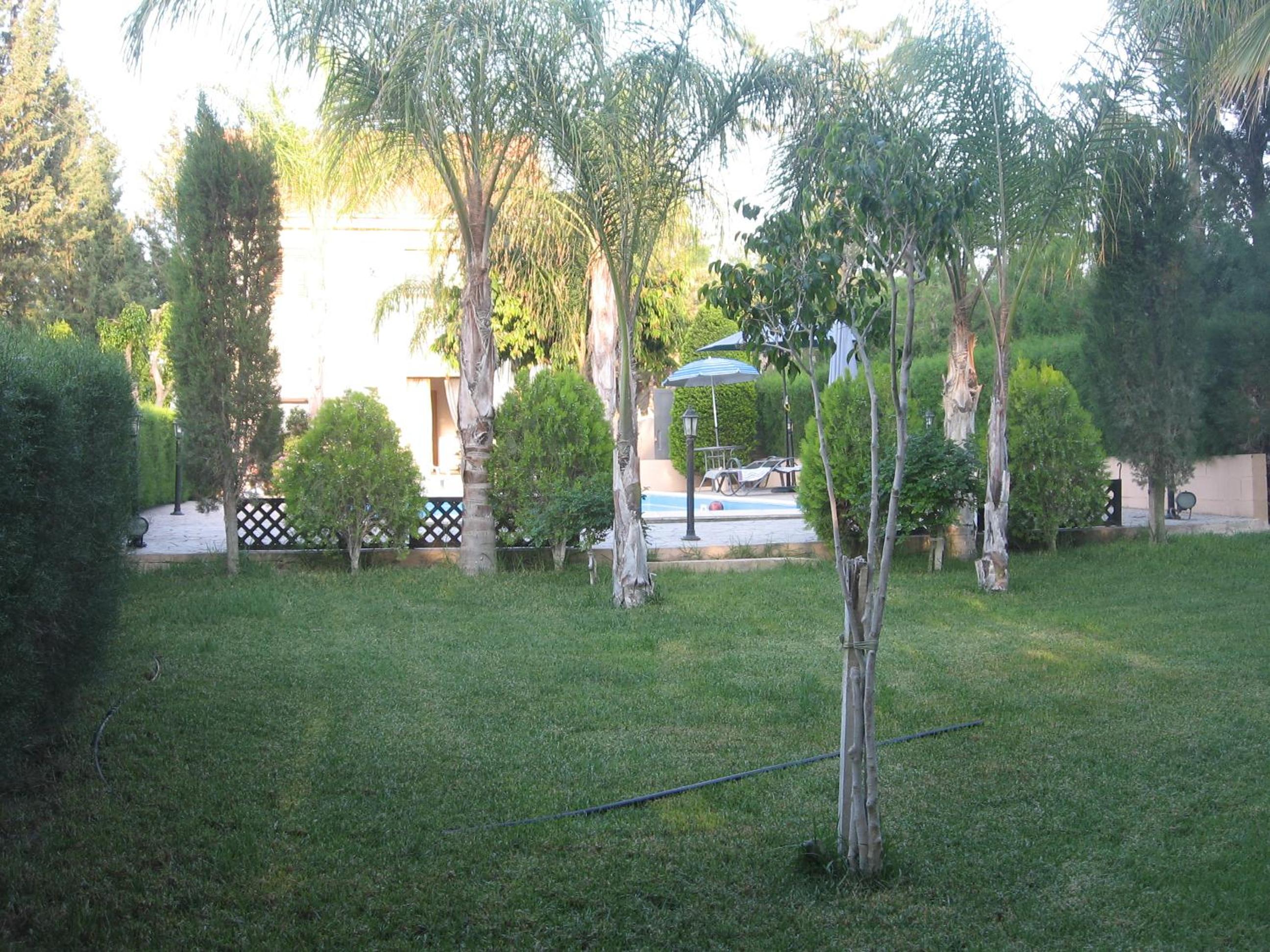Photo 67
