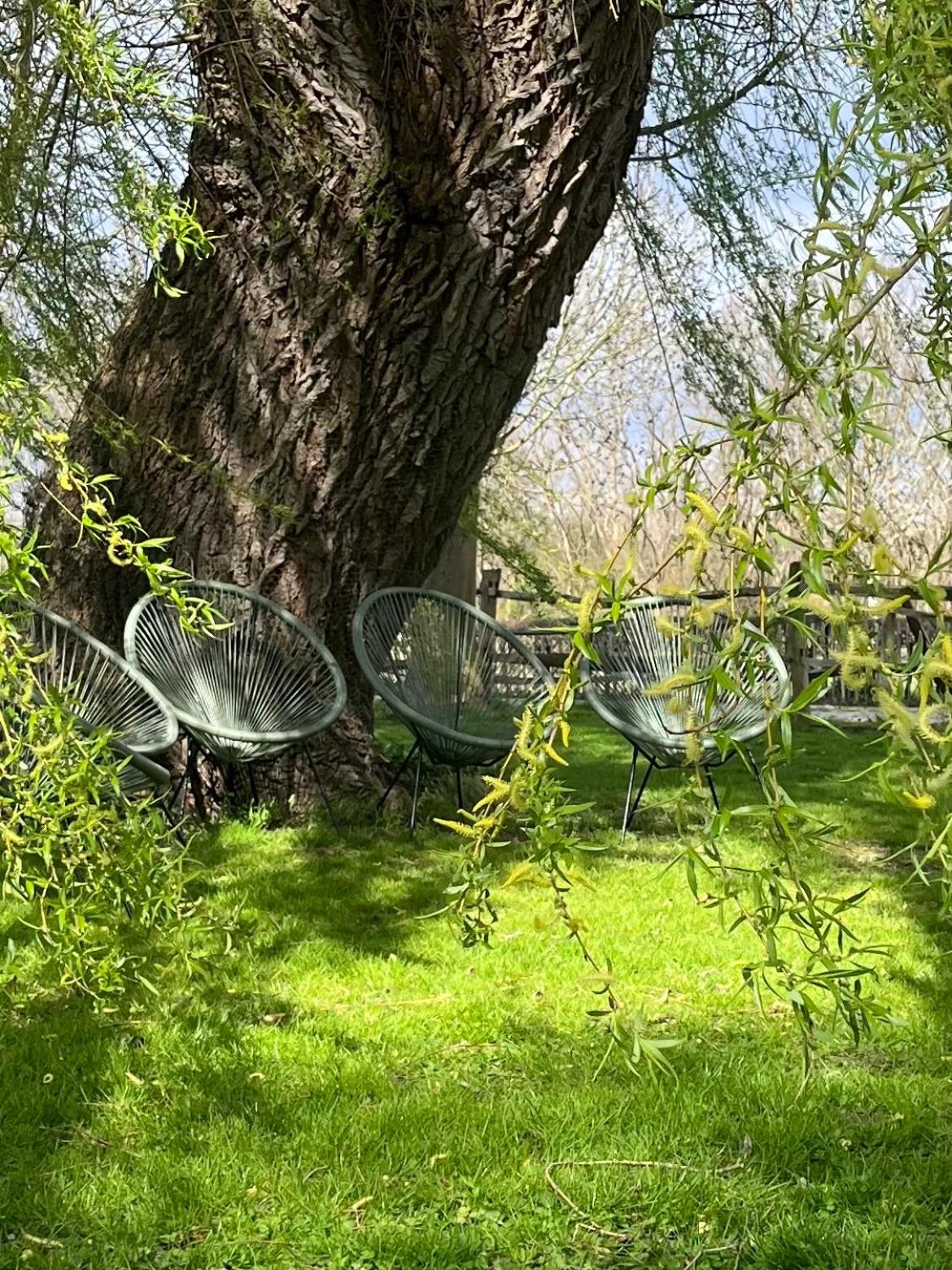 Broekemmolen - Nature getaway & green spot