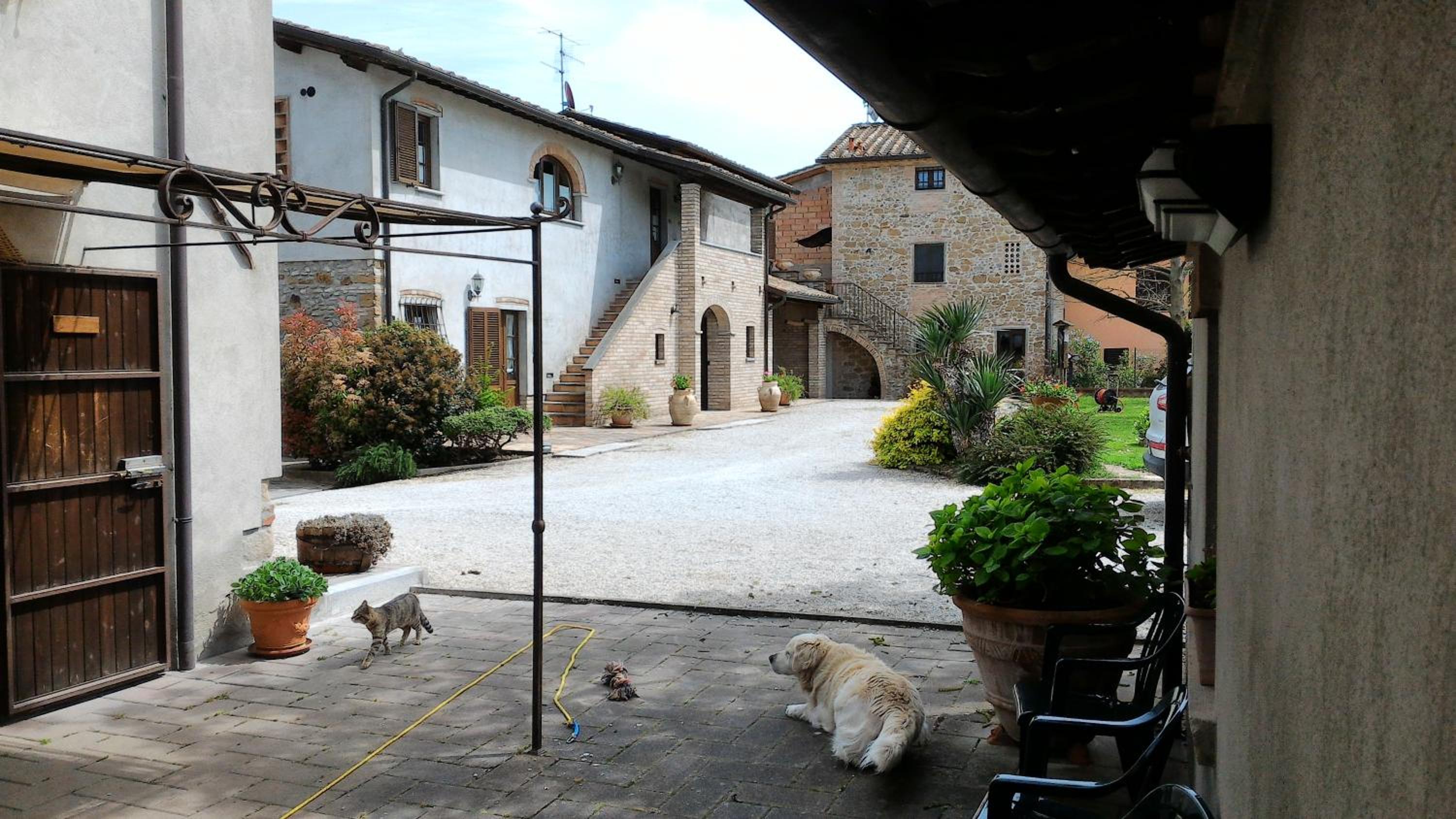 Podere Casenove