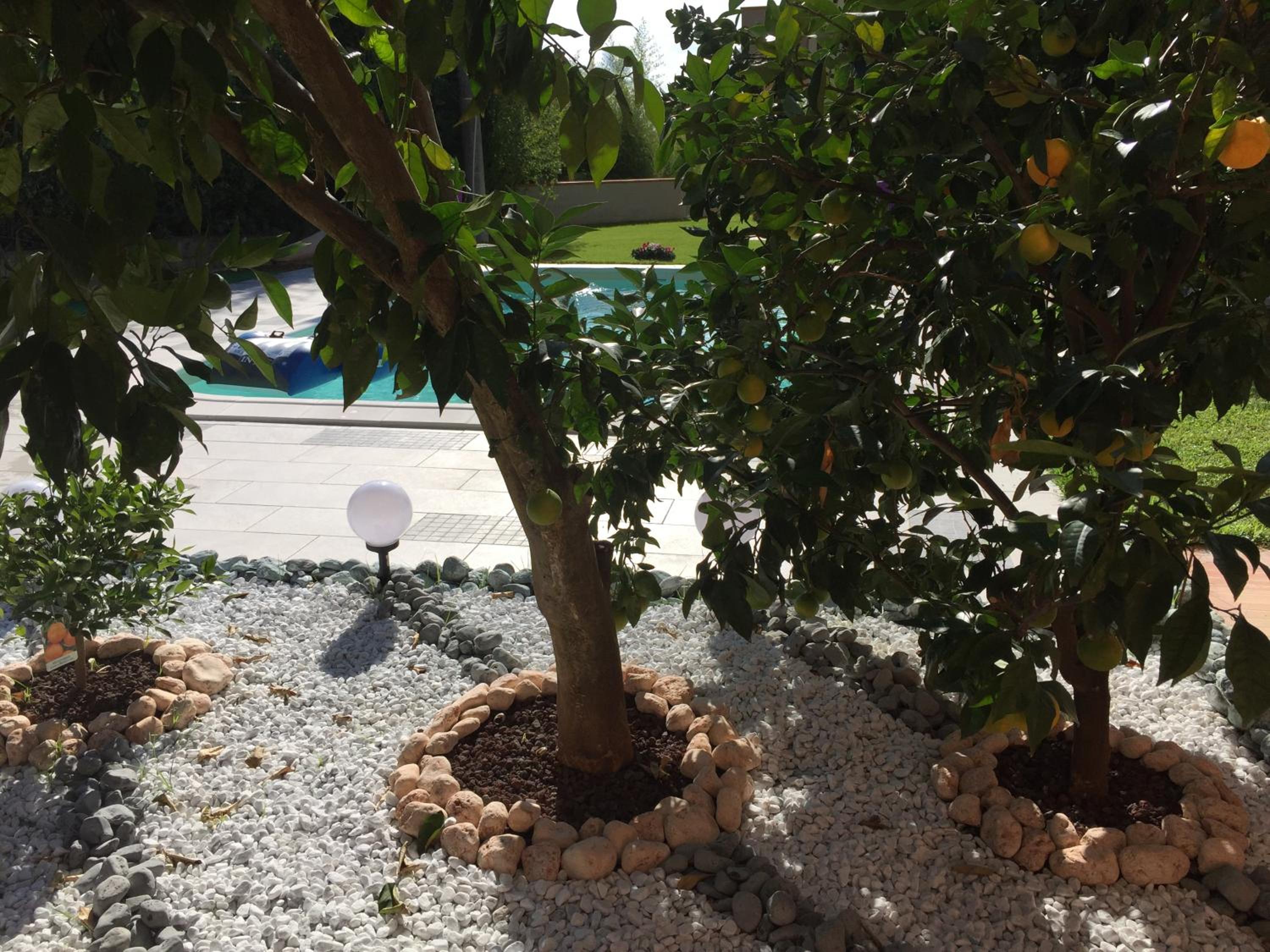 Photo 47