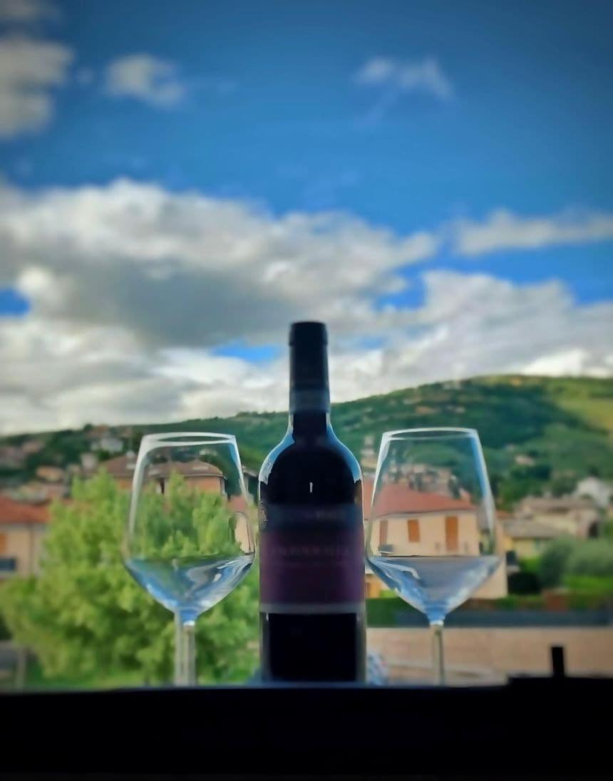 The Lotus Valpolicella