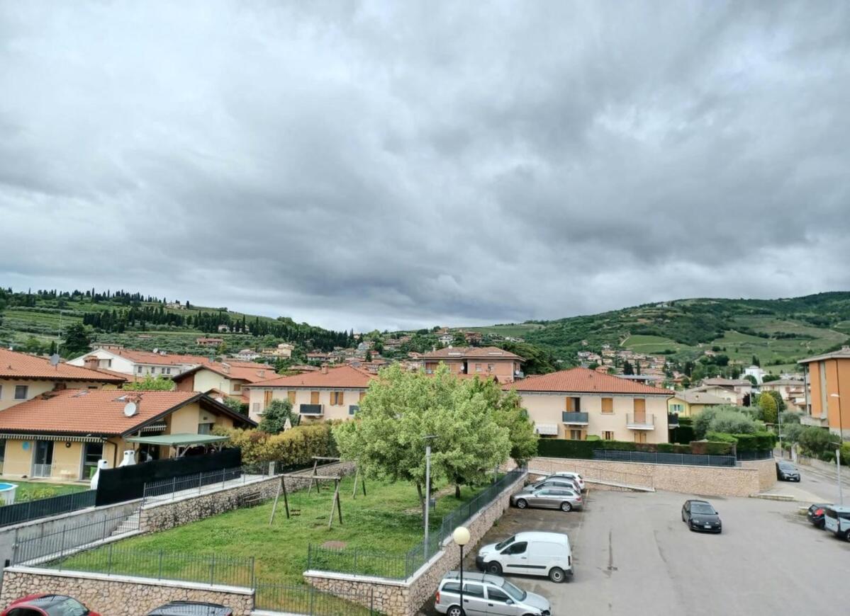 The Lotus Valpolicella