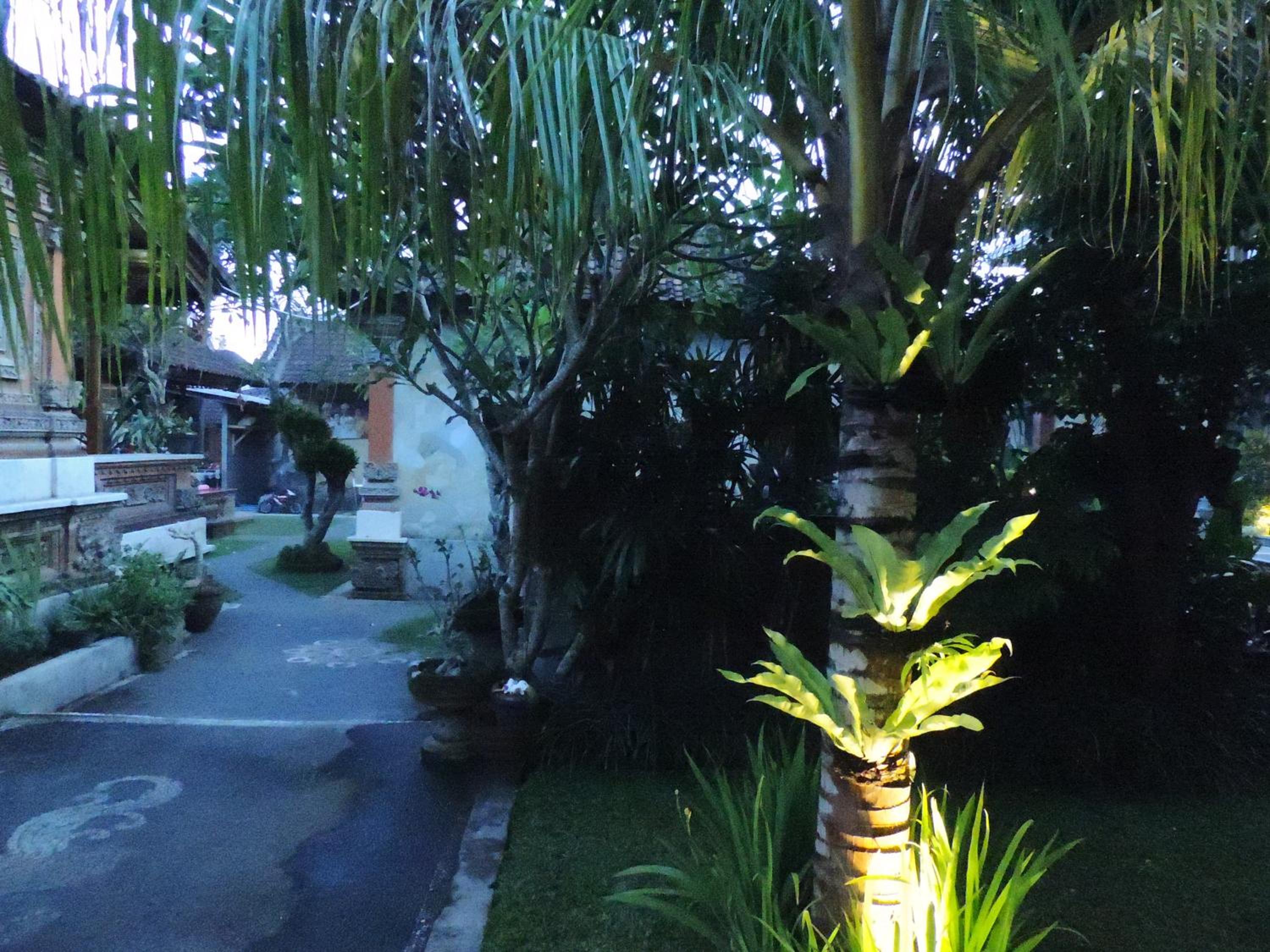 Photo 22