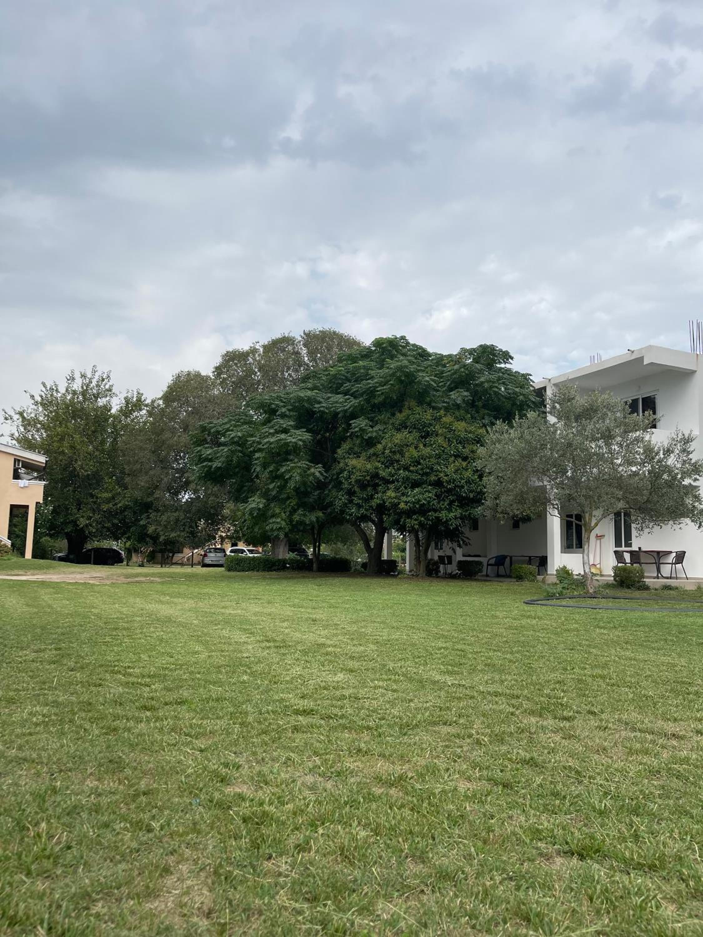 Photo 43