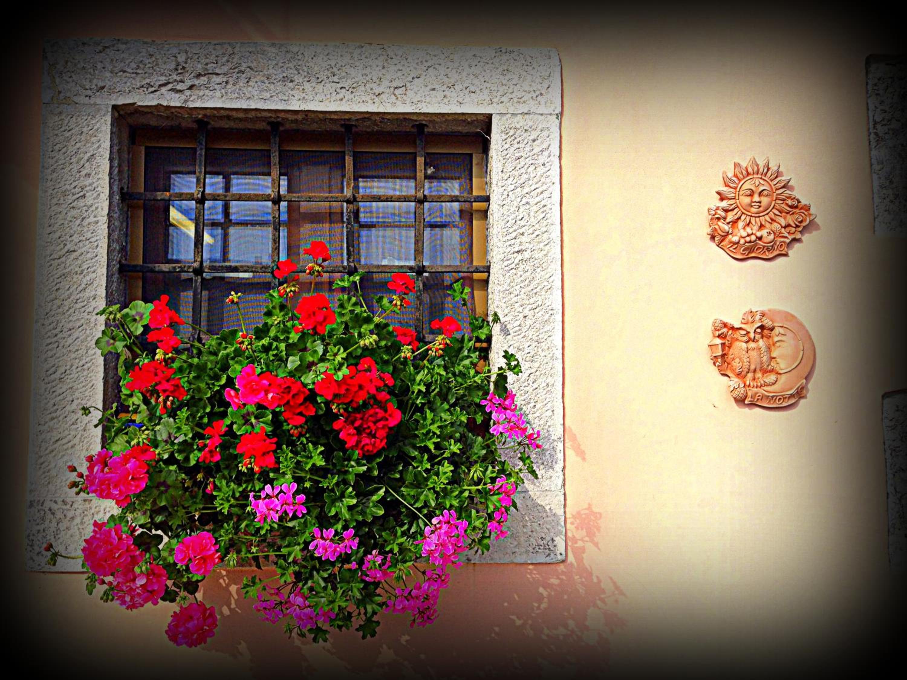 Agriturismo Borgovecchio