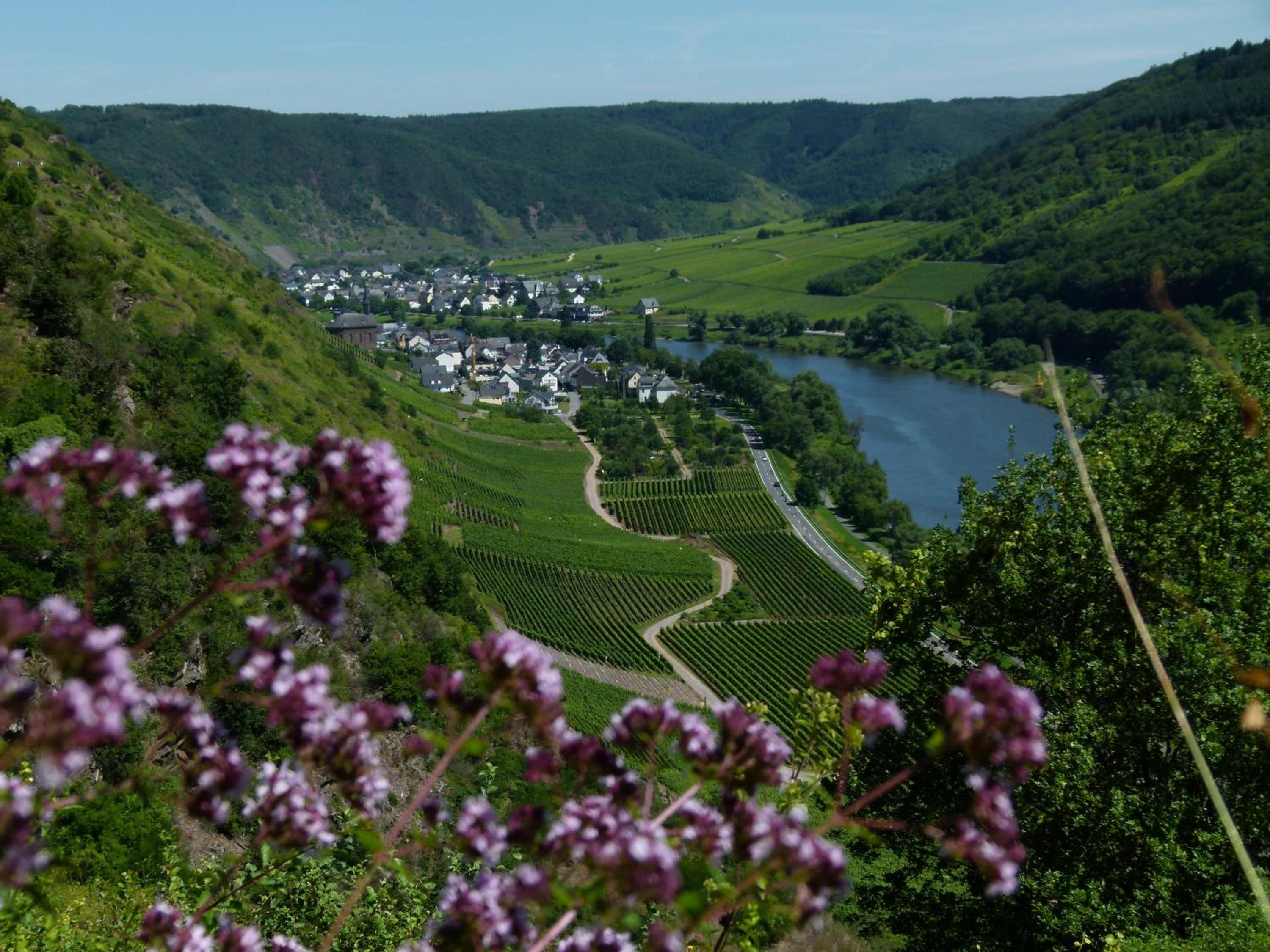 Ferienweingut Rudorfer