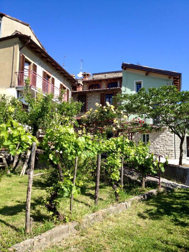 Photo 9