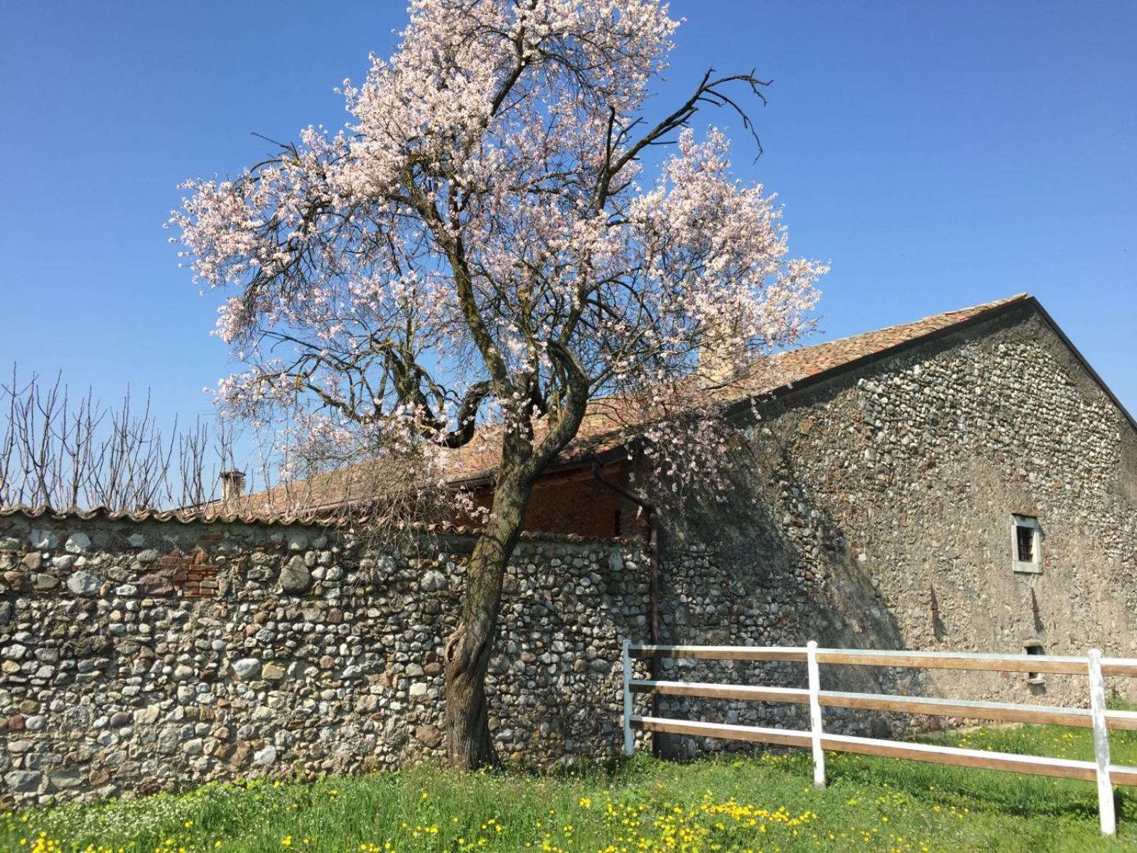 Antico Cascinale Lombardo view 2