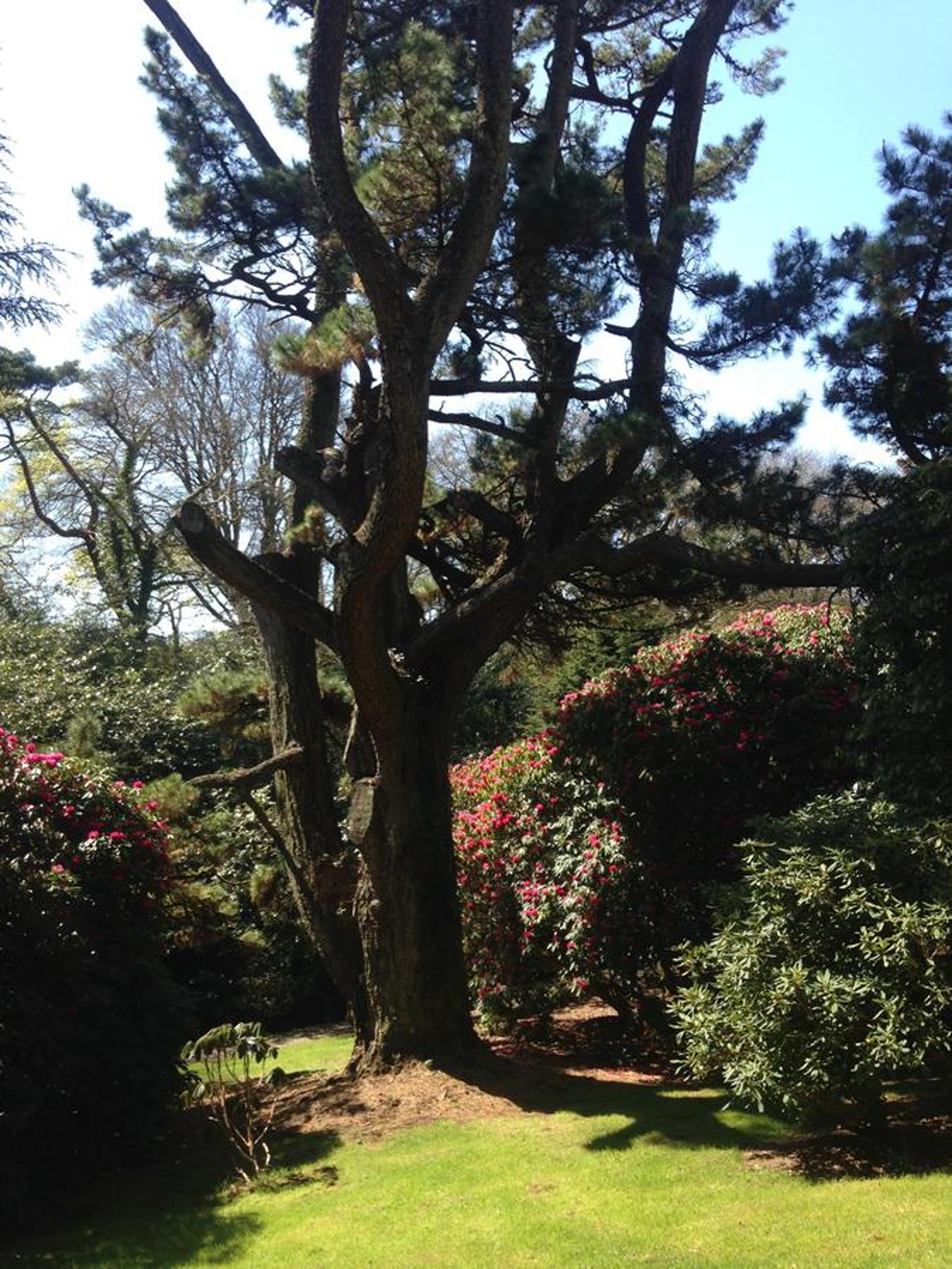 Photo 16