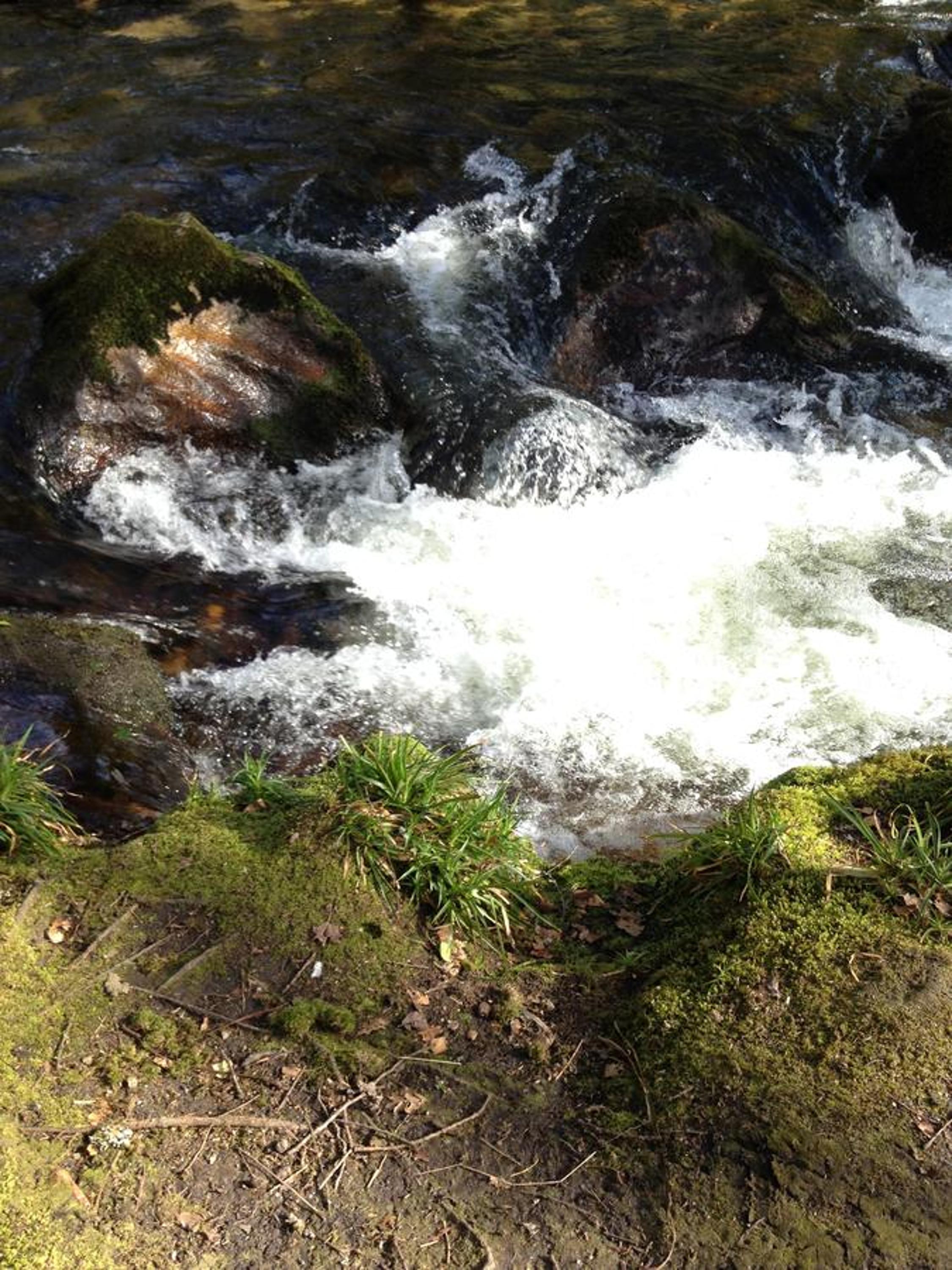Photo 25