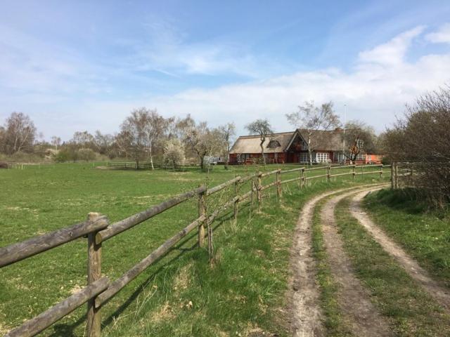 Photo 45