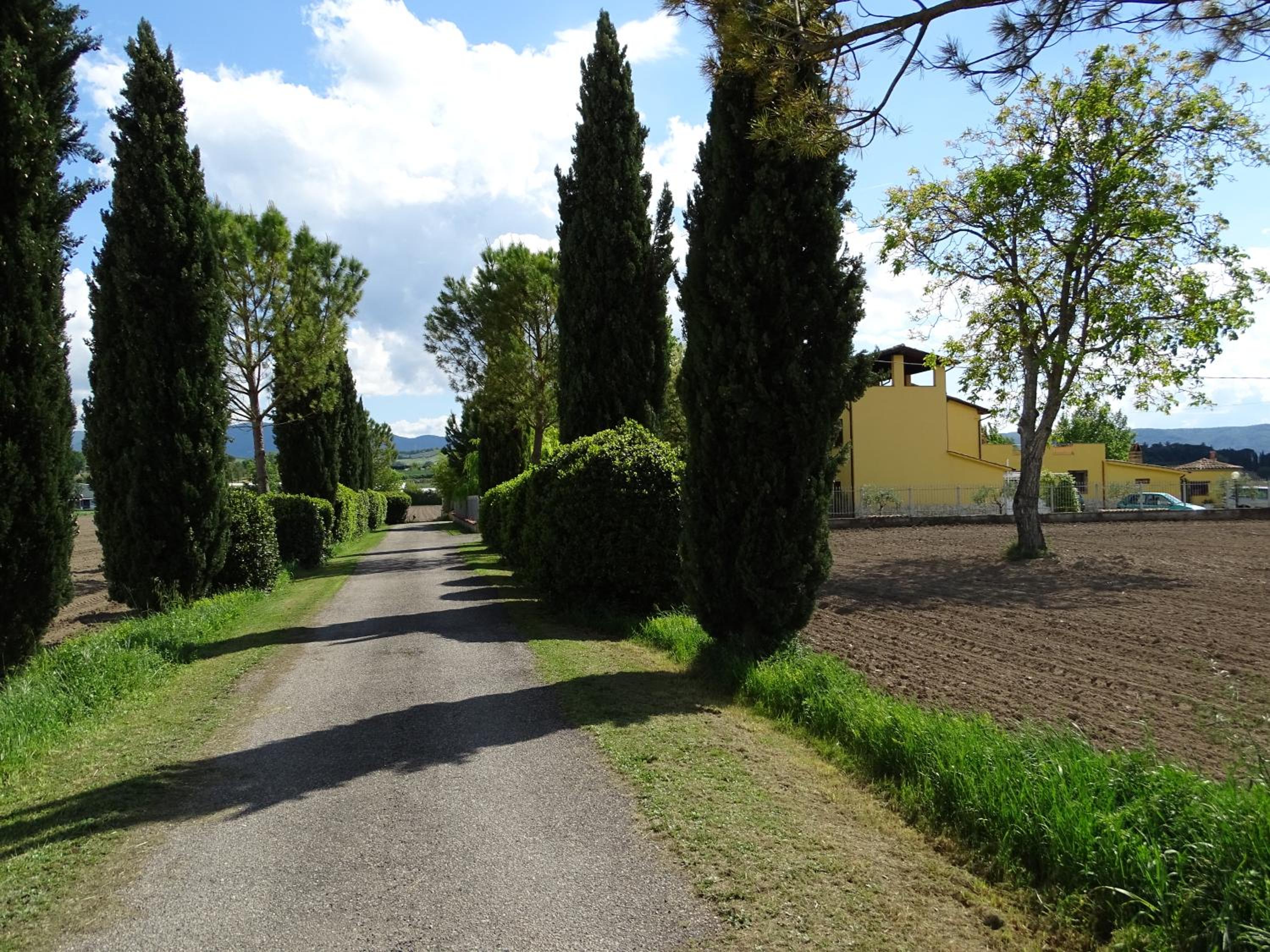 La Vecchia Stalla B&B view 2