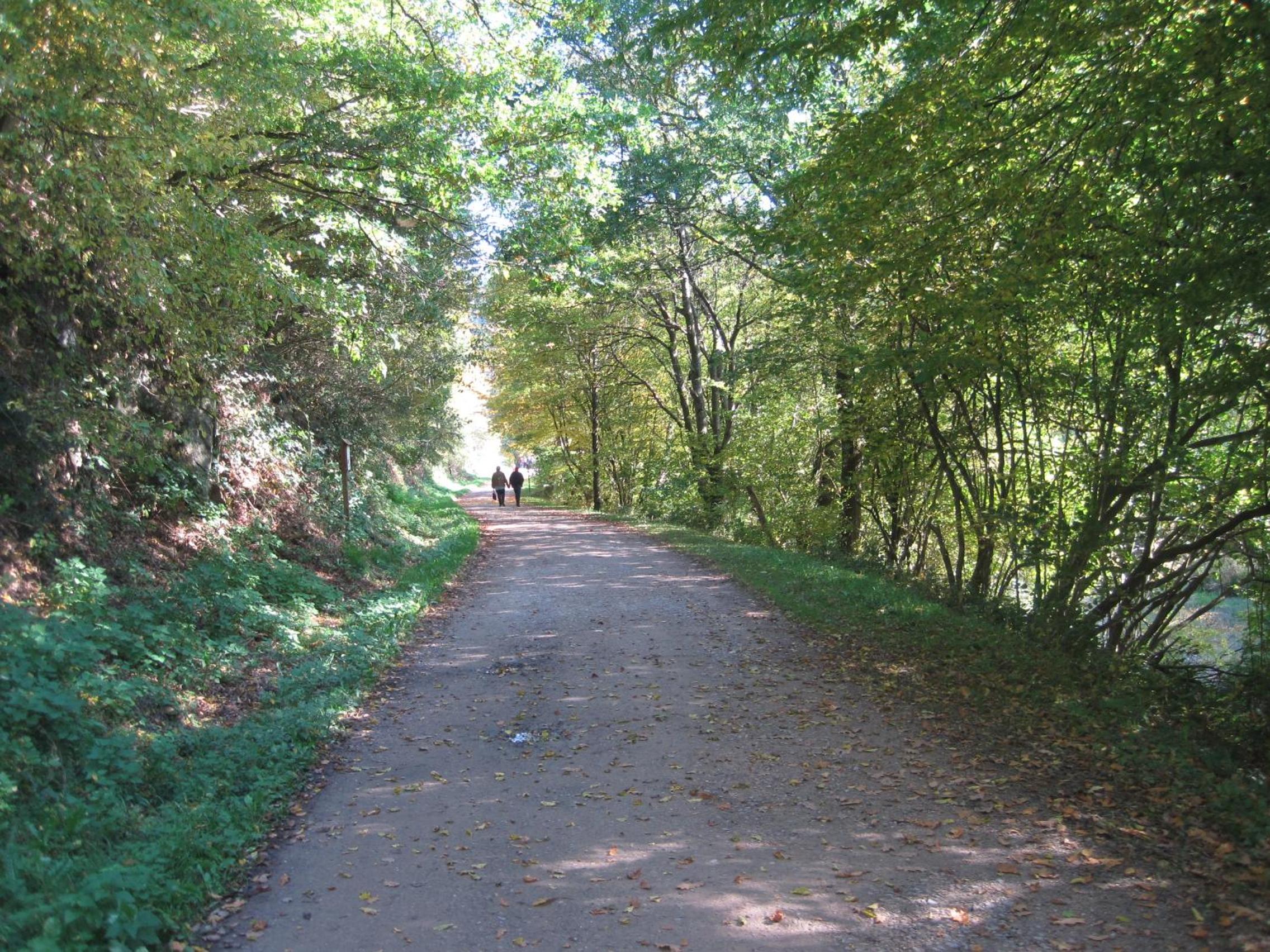 Photo 26