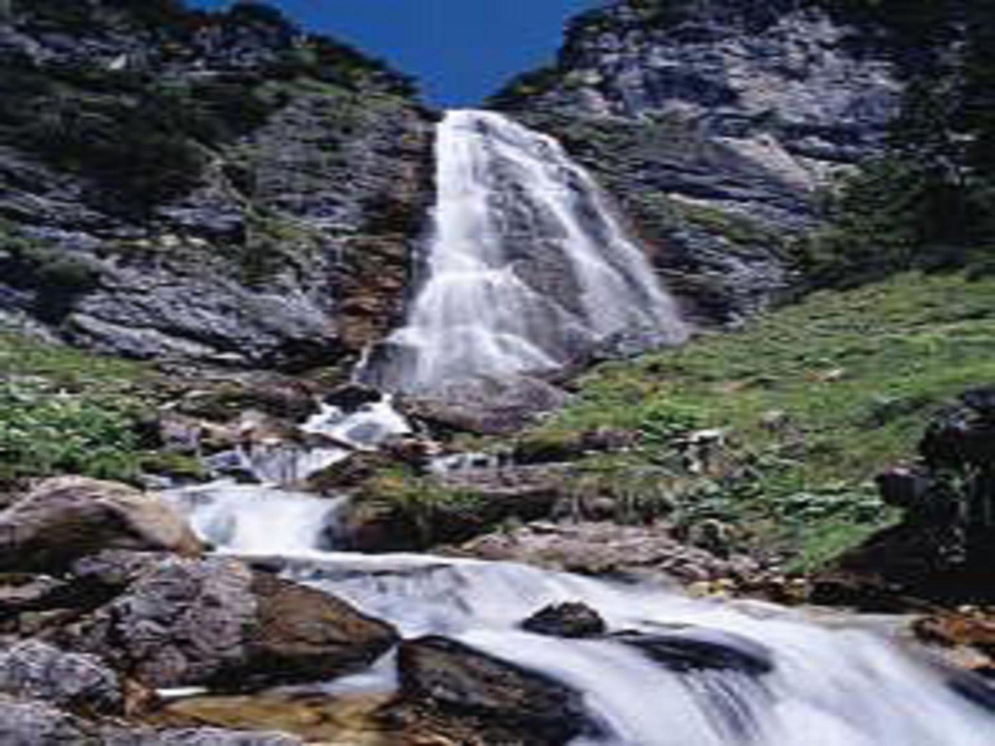Photo 49