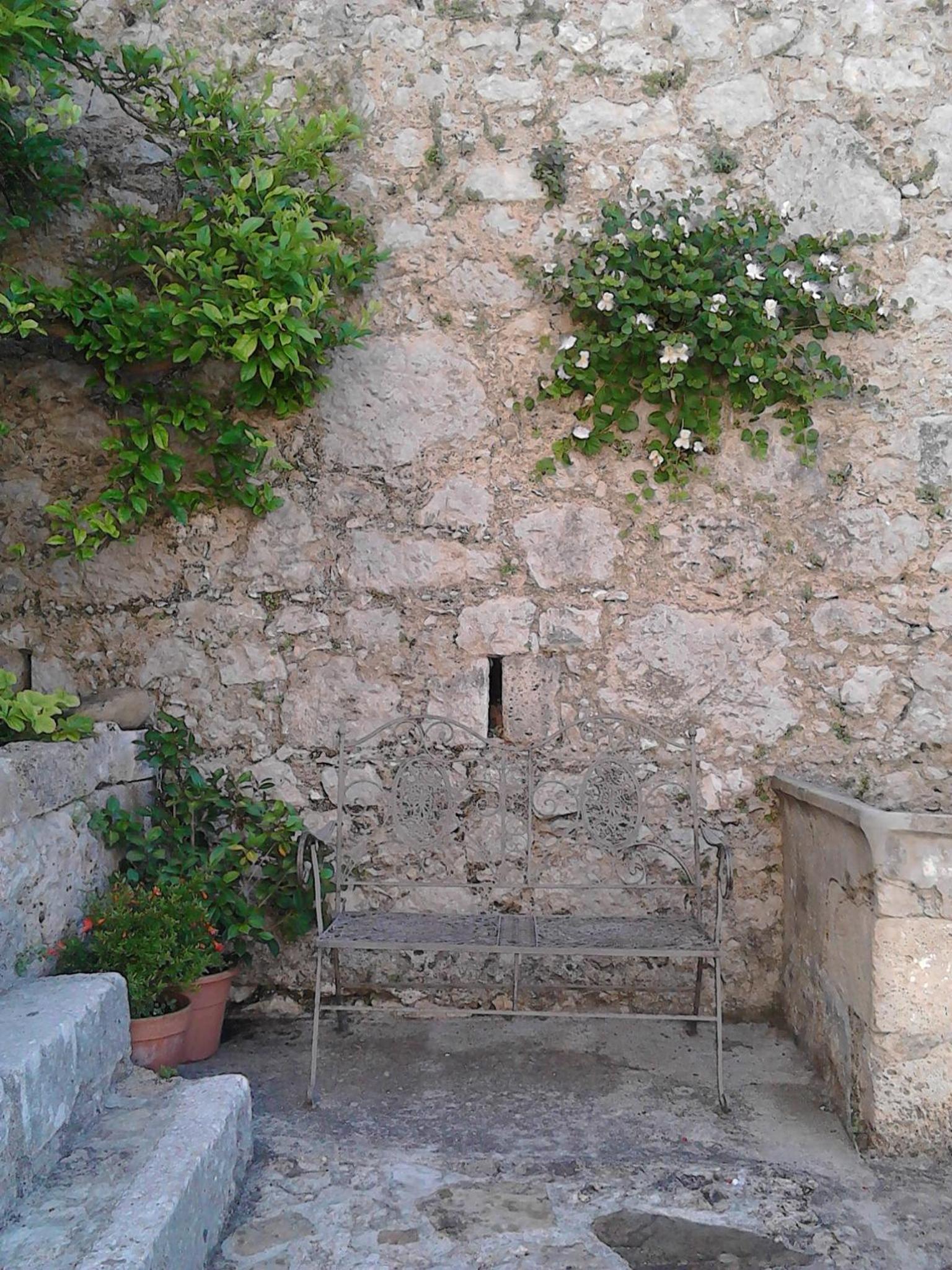 Photo 45