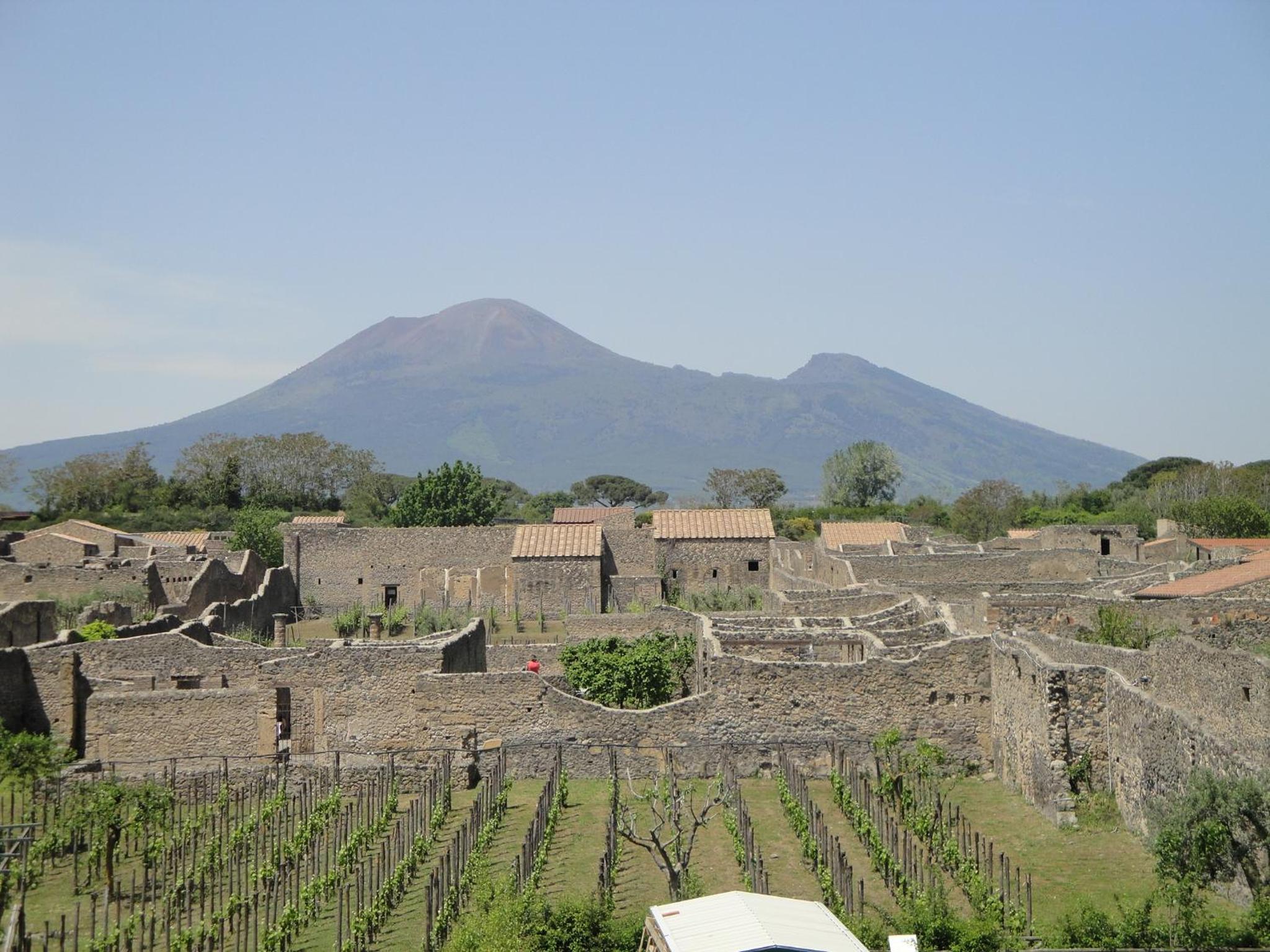 AreA DomuS