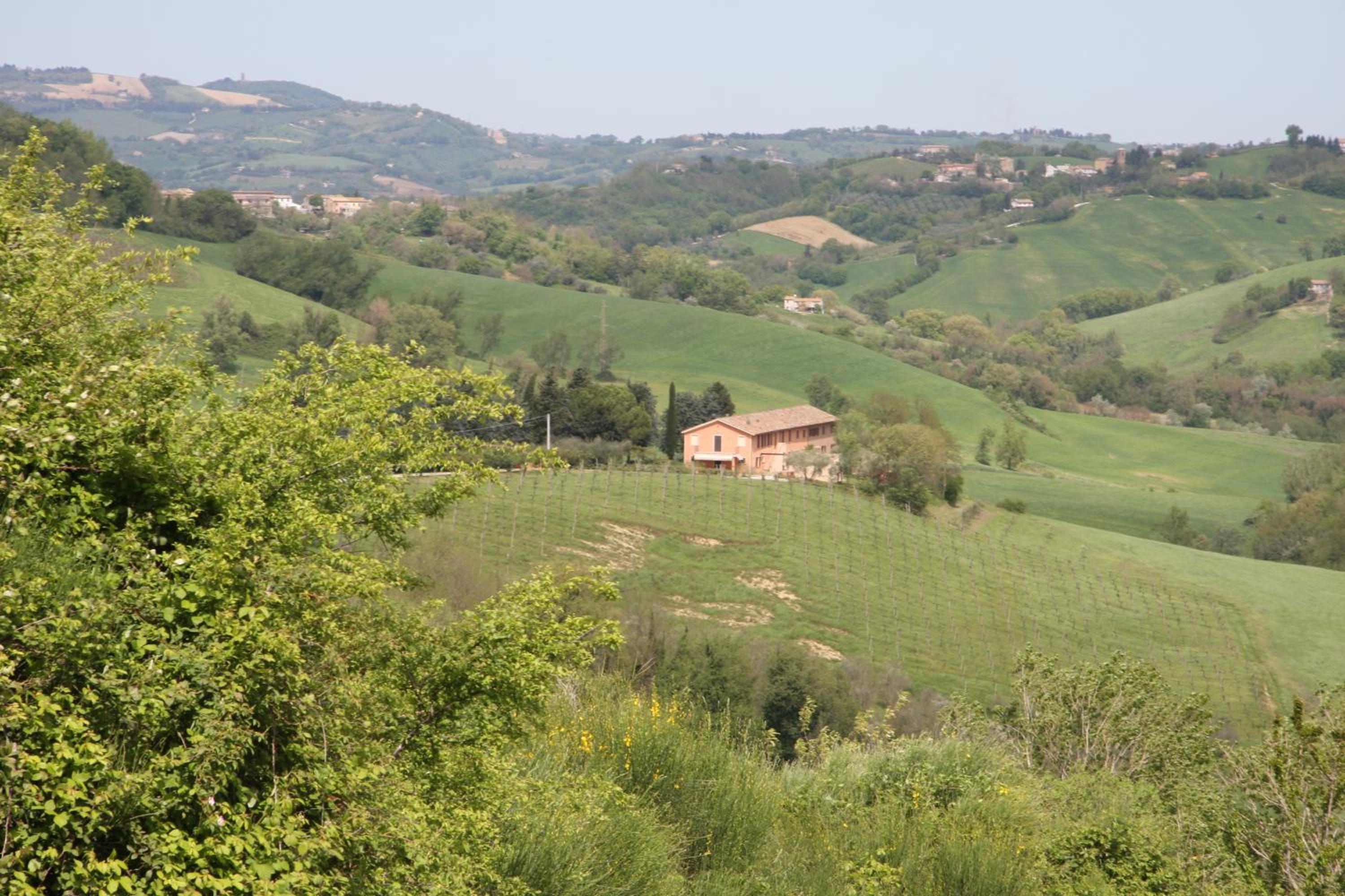 Country House Montesoffio view 3