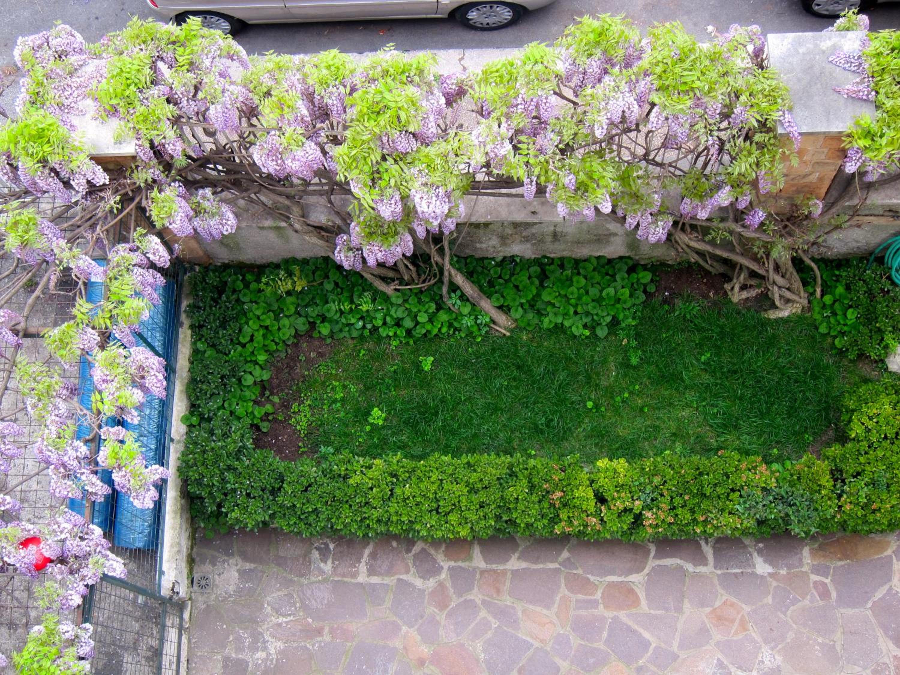 Casa del glicine
