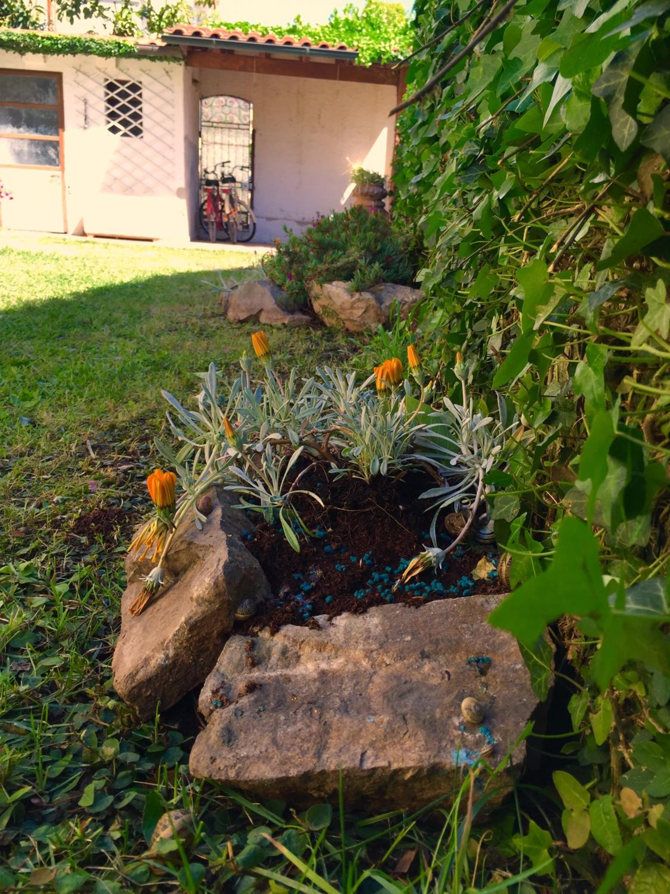 Photo 14