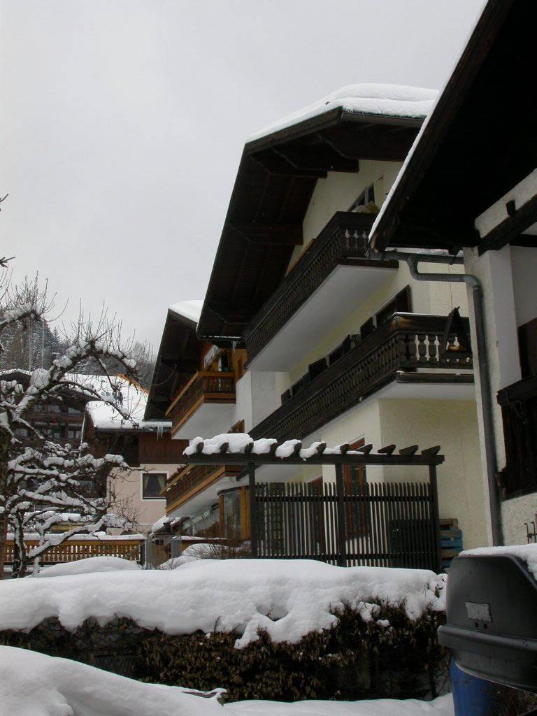 Photo 38