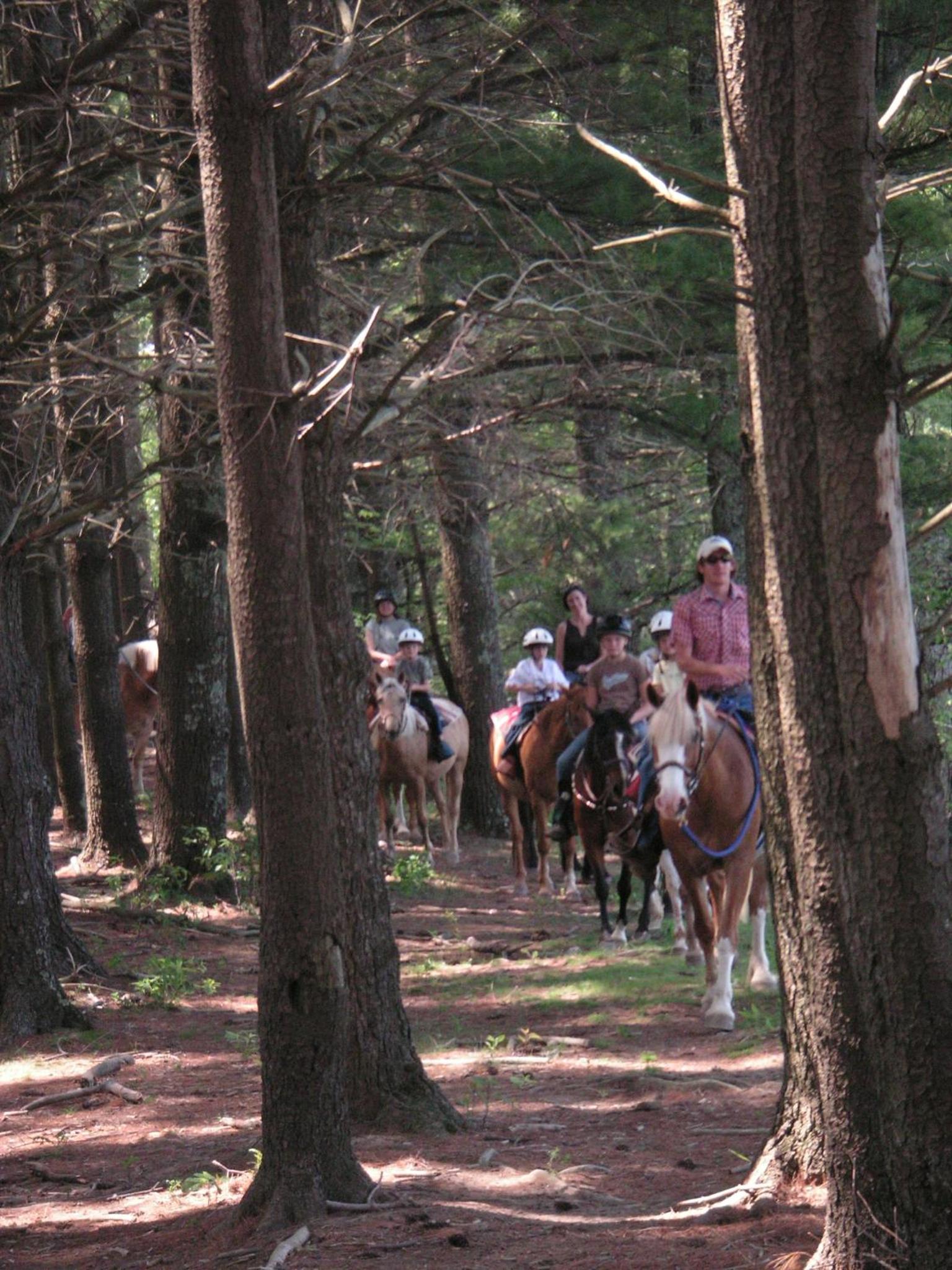 Arrowmont Stables & Cabins
