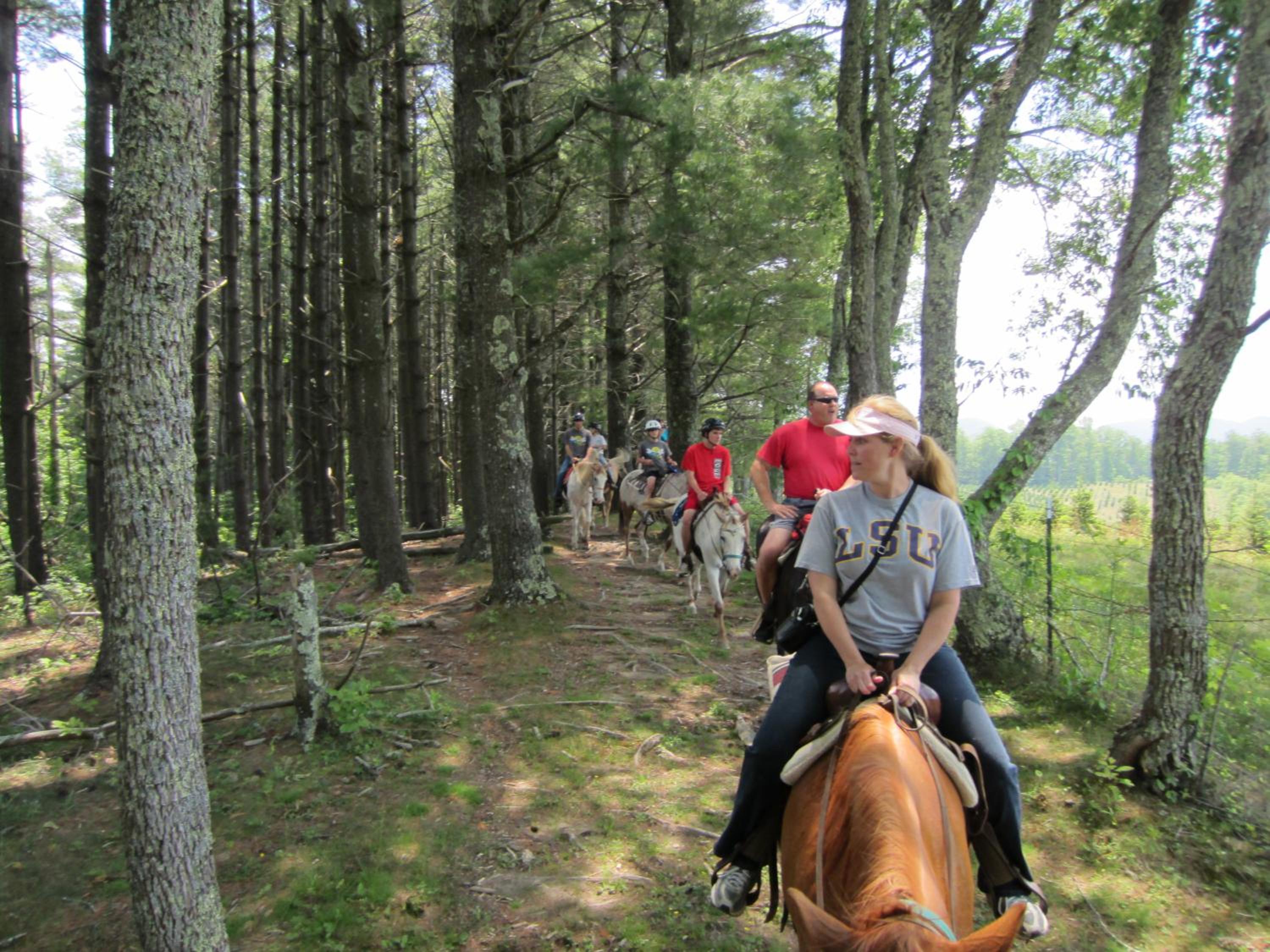 Arrowmont Stables & Cabins