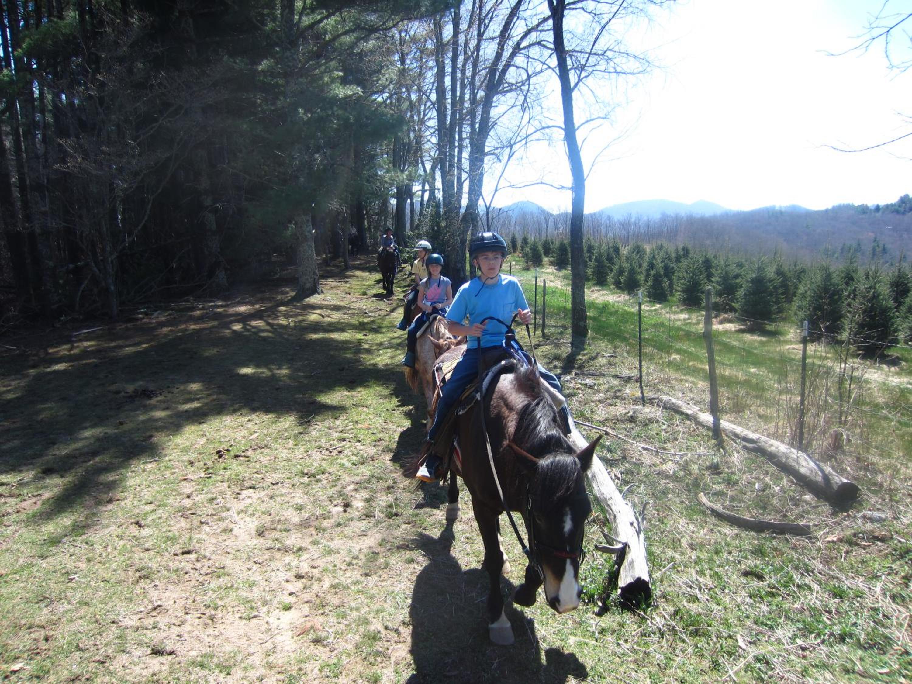 Arrowmont Stables & Cabins