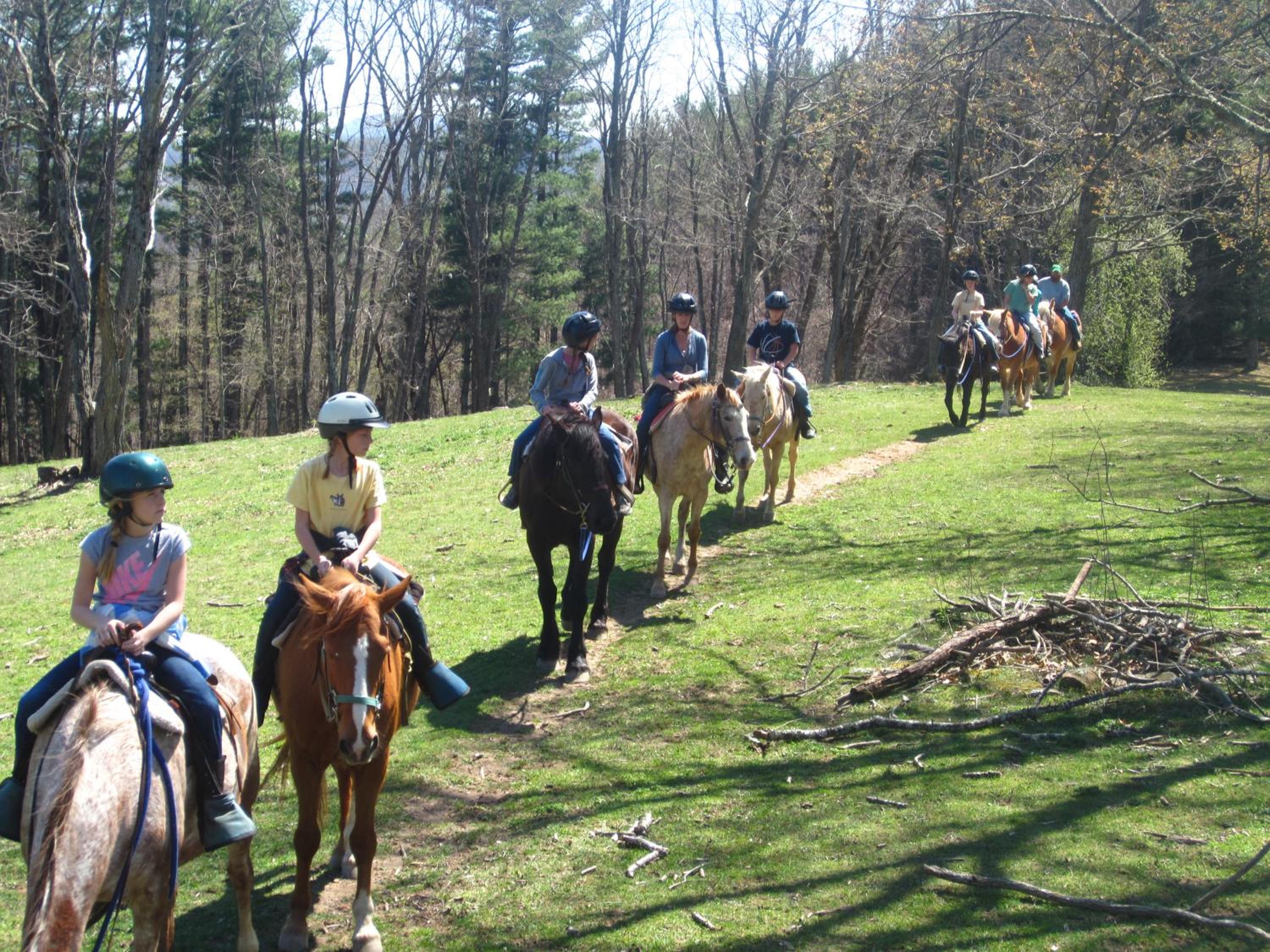 Arrowmont Stables & Cabins
