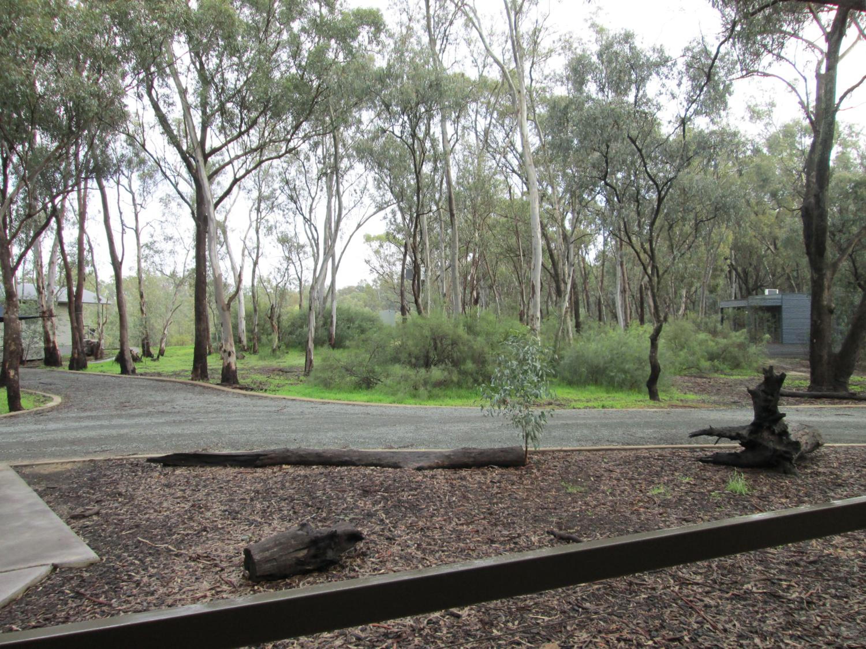 Tasman Holiday Parks - Moama on the Murray