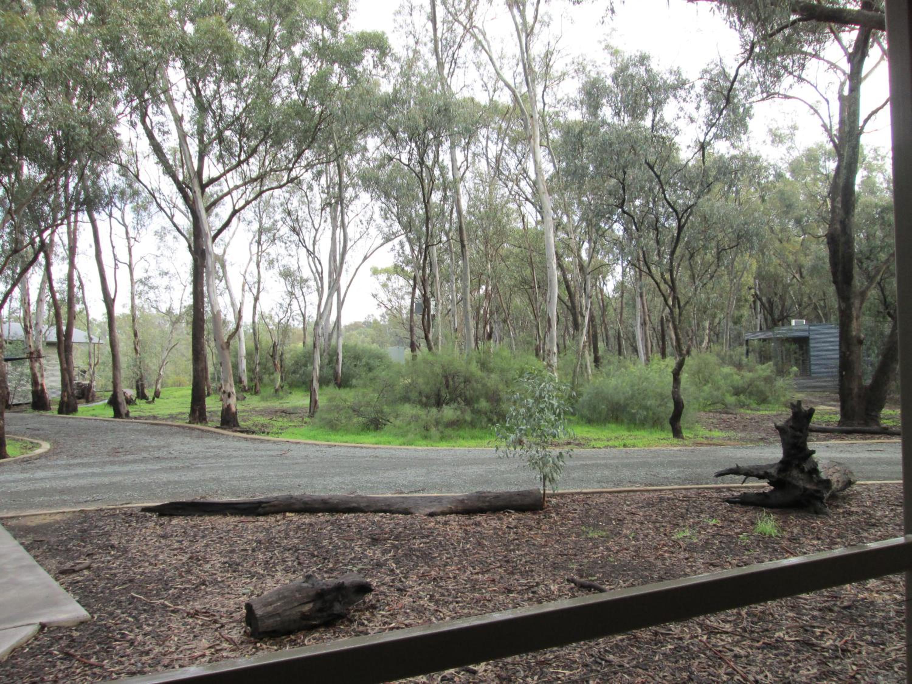 Tasman Holiday Parks - Moama on the Murray