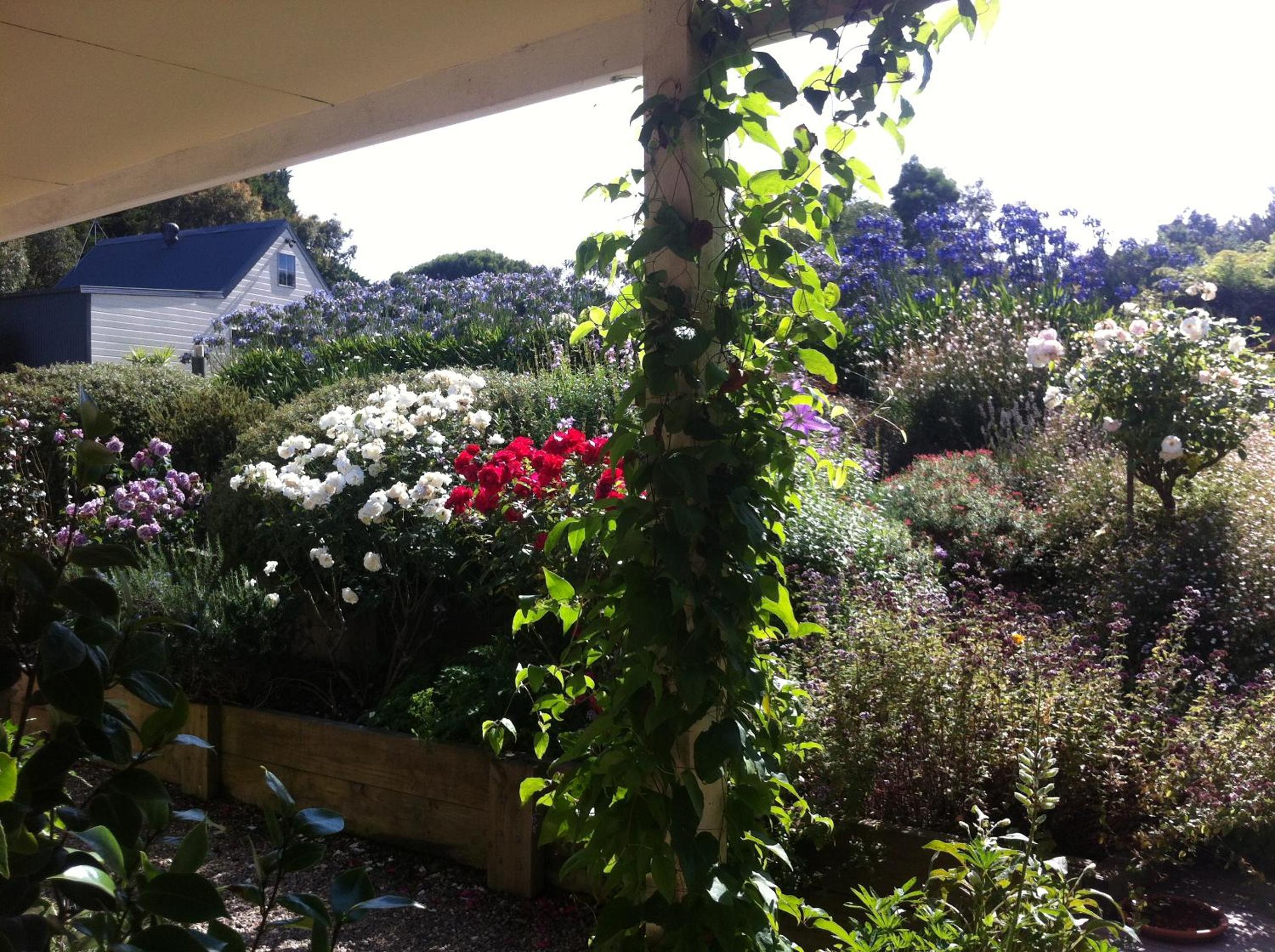 Llarrinda Bed & Breakfast