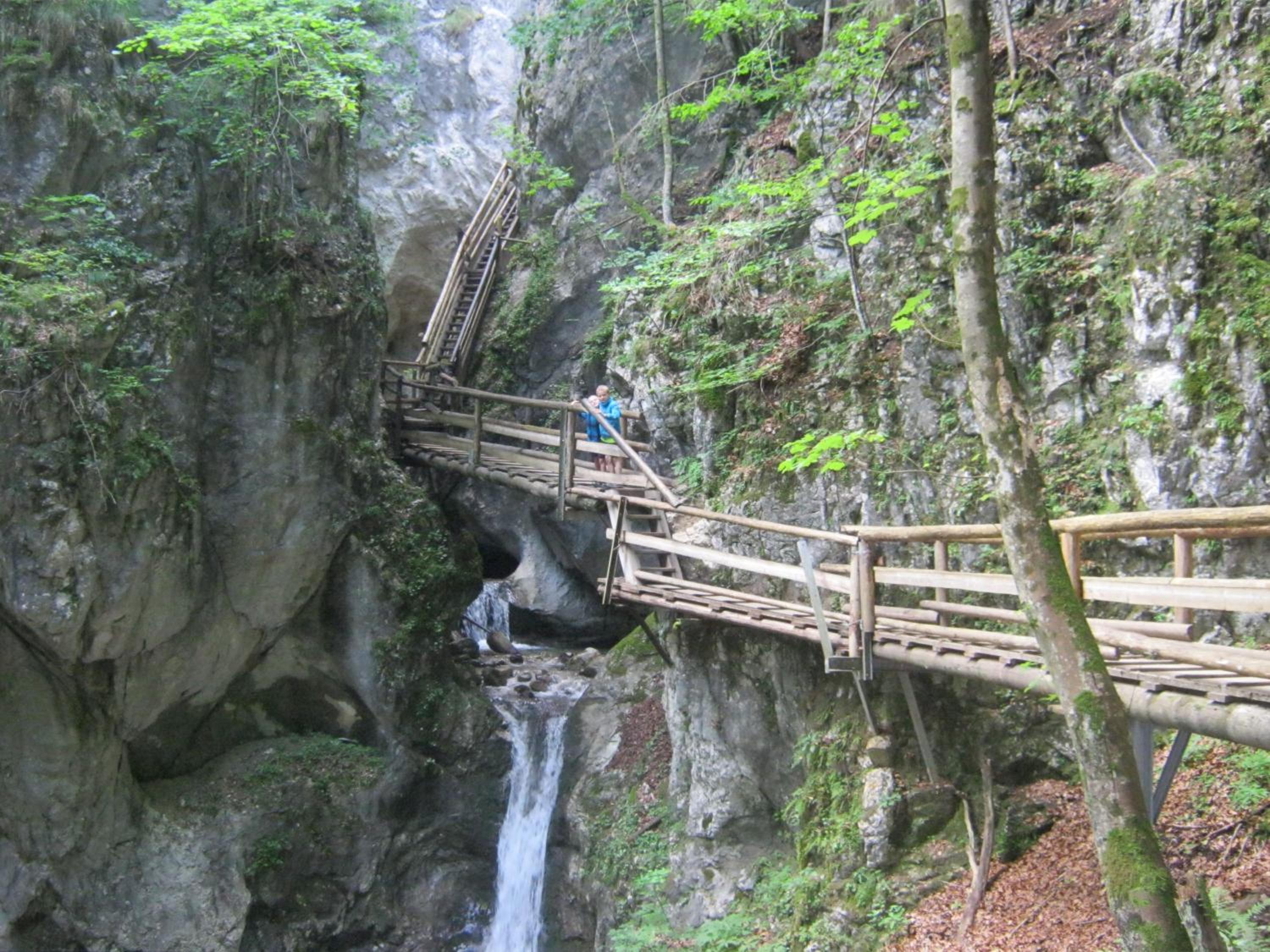 Bio-Urlaubshof Dansbach